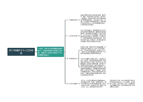 2011年度护士个人工作总结