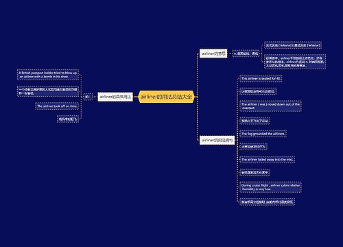 airliner的用法总结大全