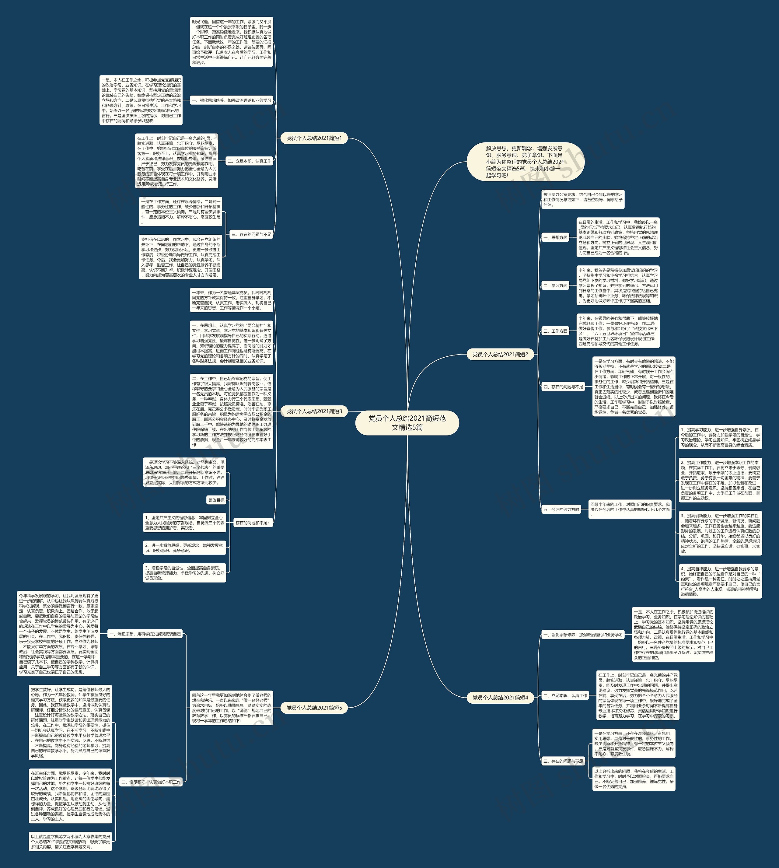 党员个人总结2021简短范文精选5篇思维导图