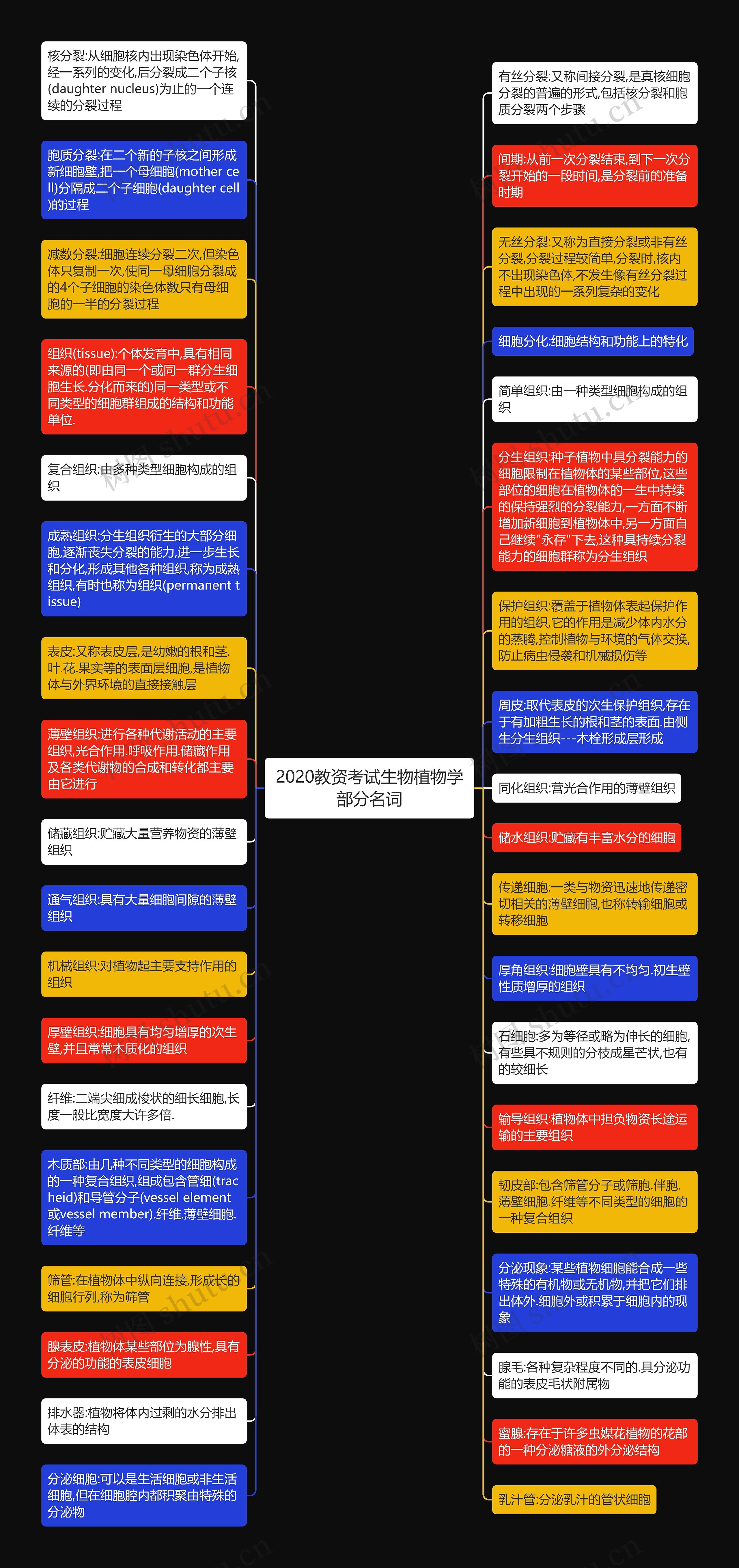 2020教资考试生物植物学部分名词