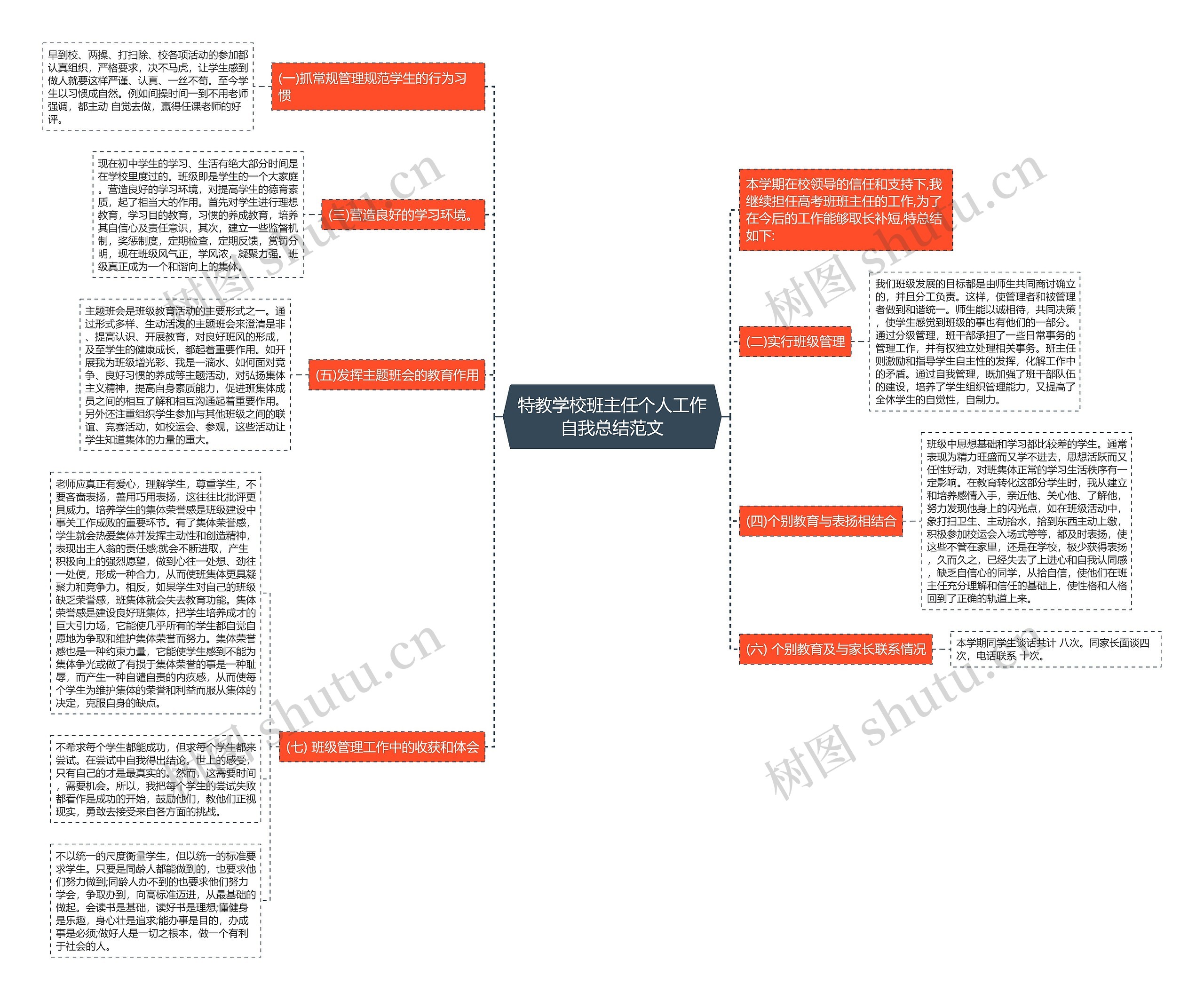 特教学校班主任个人工作自我总结范文思维导图