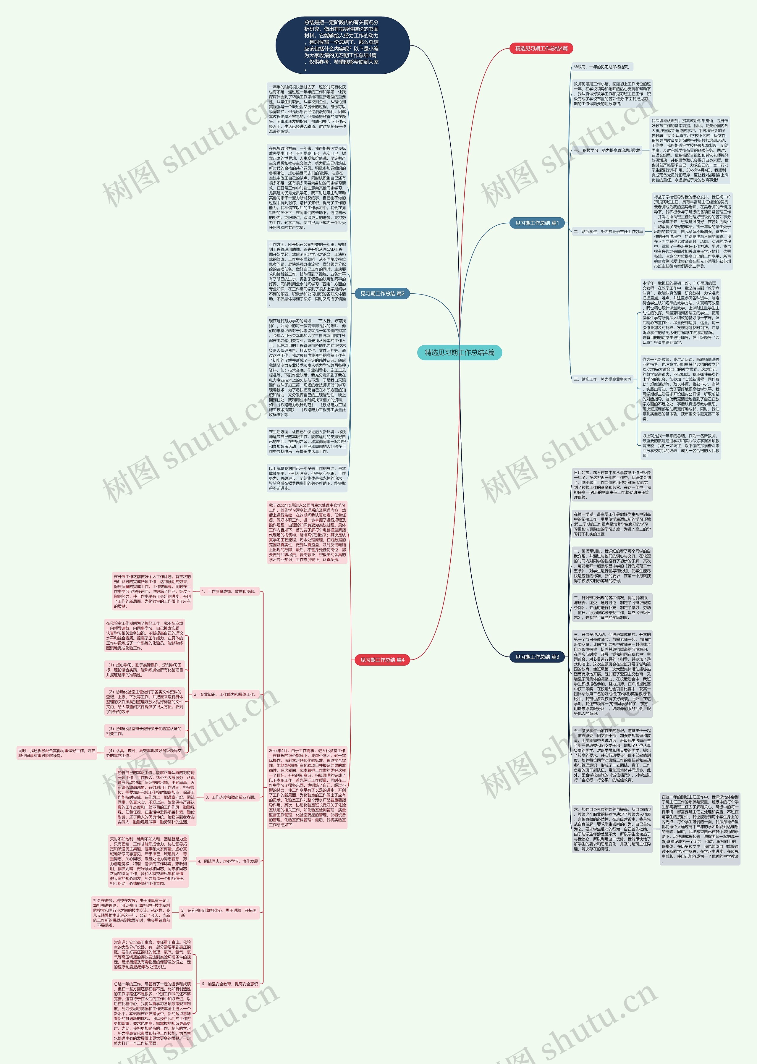 精选见习期工作总结4篇思维导图