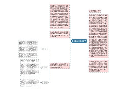 公司新员工工作评价