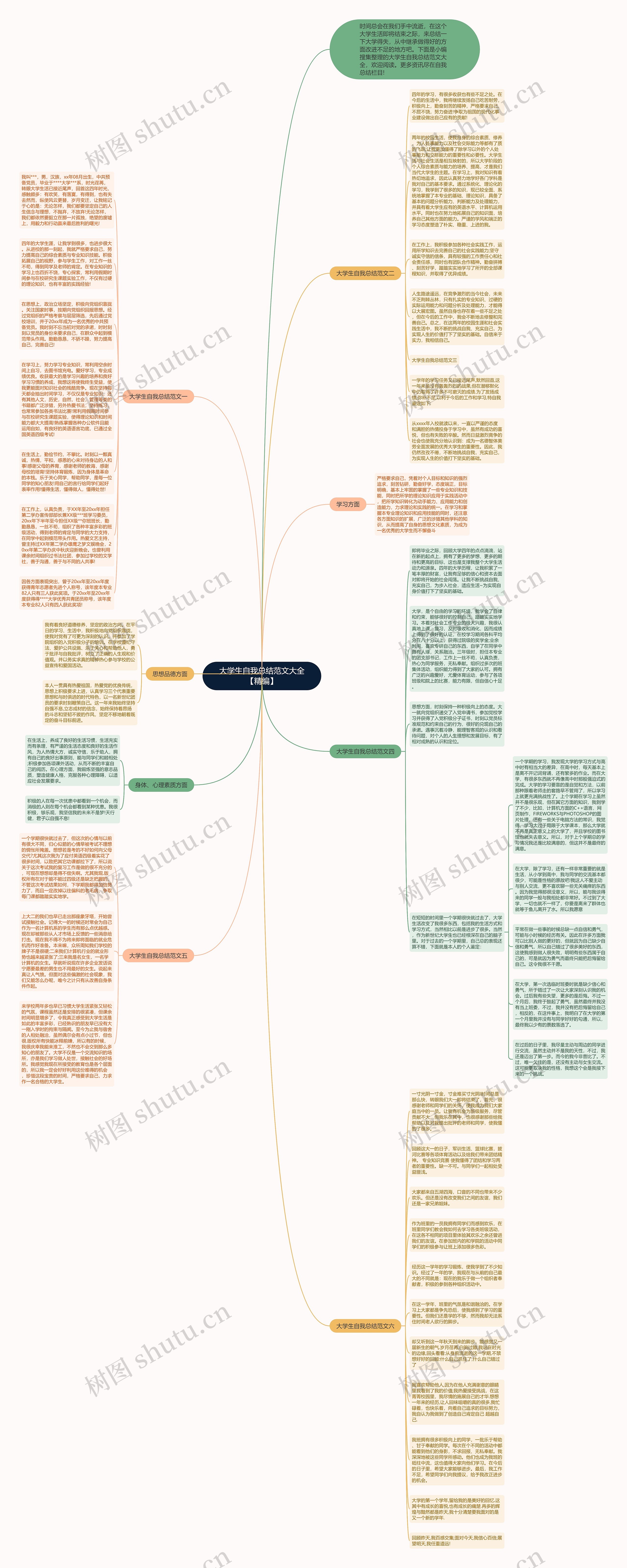 大学生自我总结范文大全【精编】思维导图