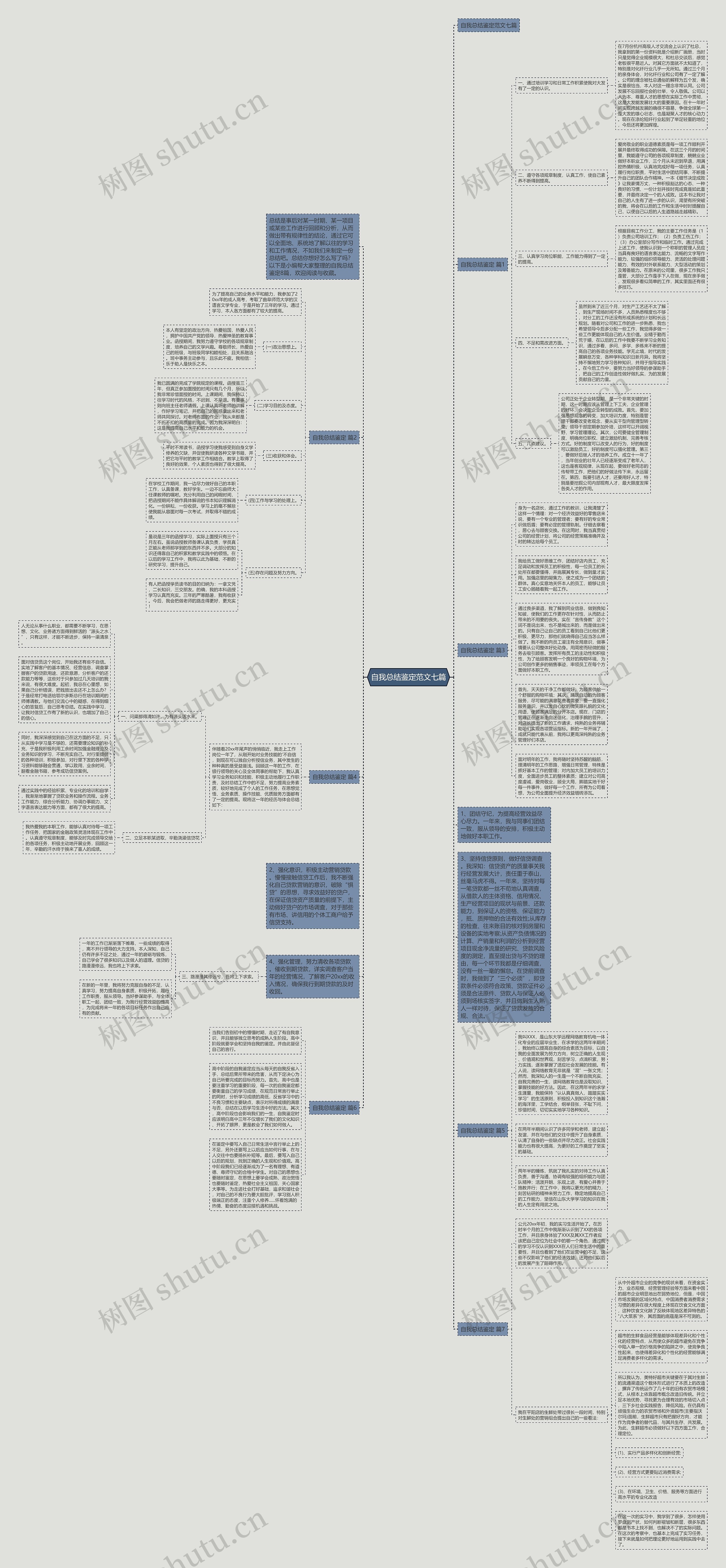 自我总结鉴定范文七篇思维导图