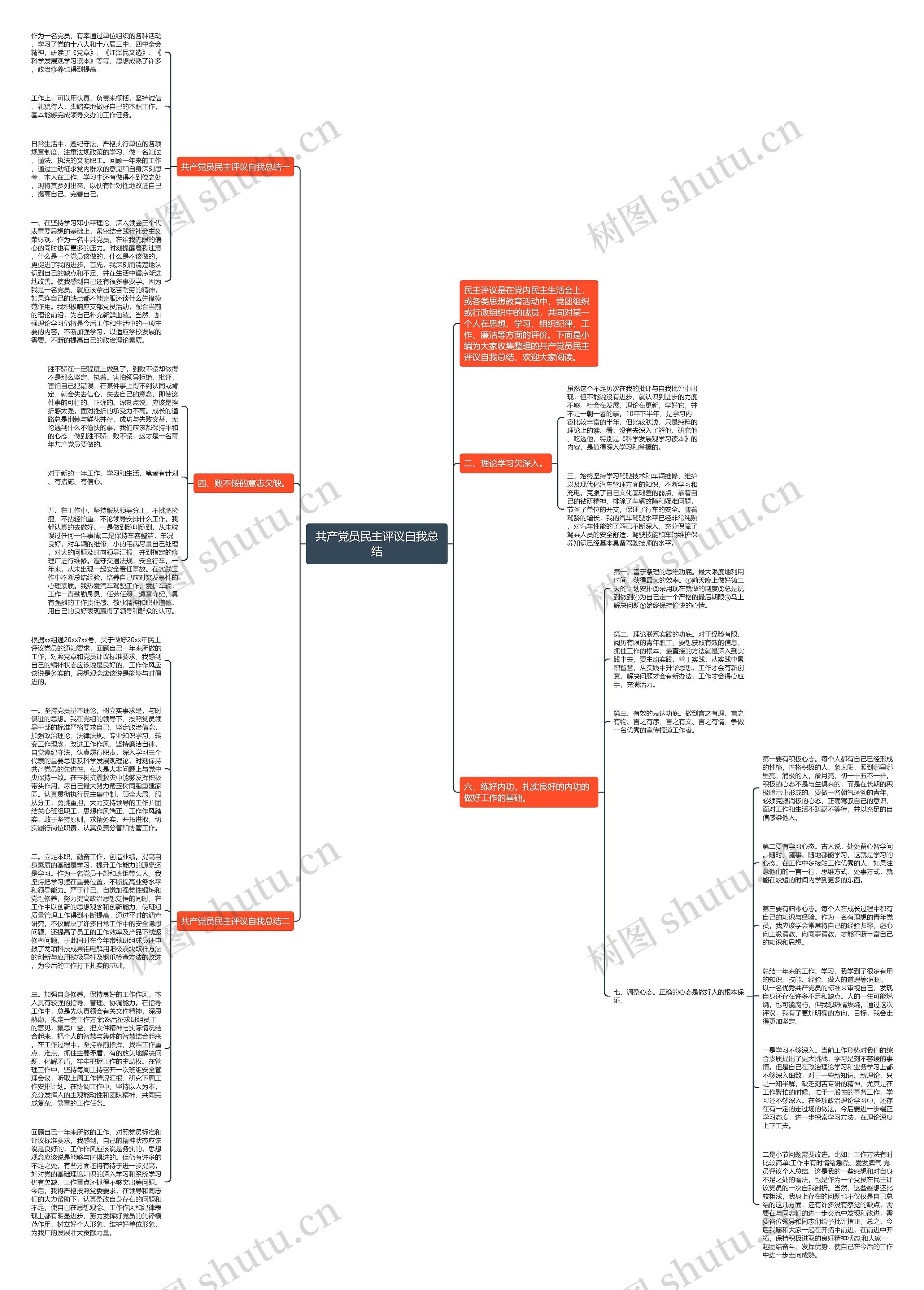 共产党员民主评议自我总结思维导图