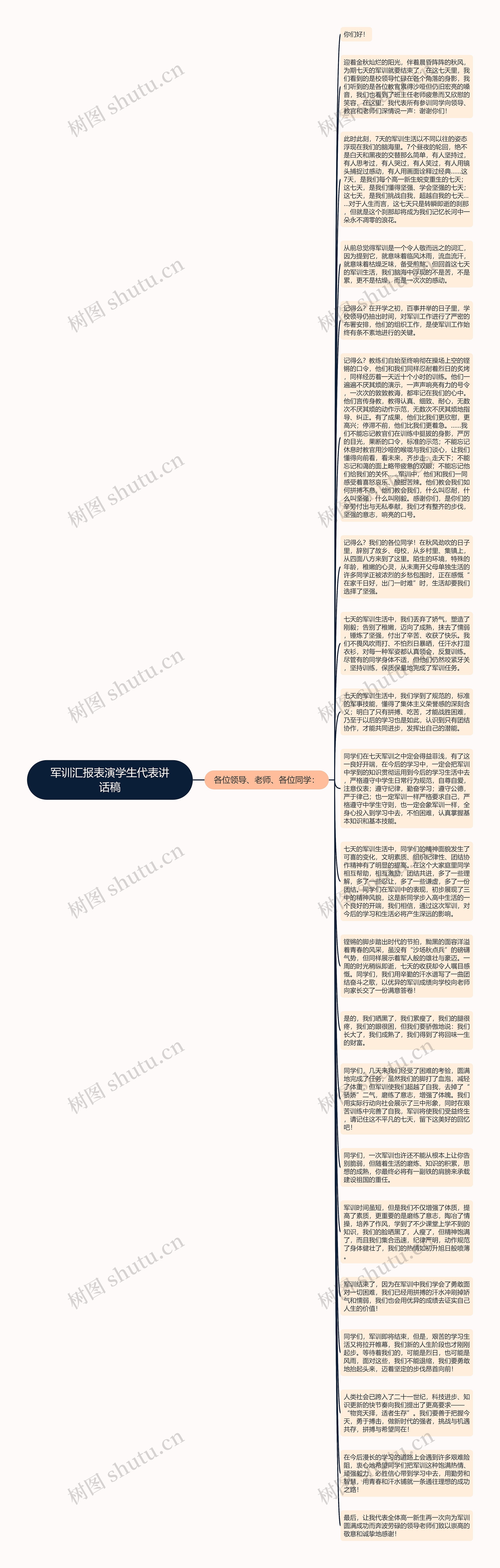 军训汇报表演学生代表讲话稿思维导图