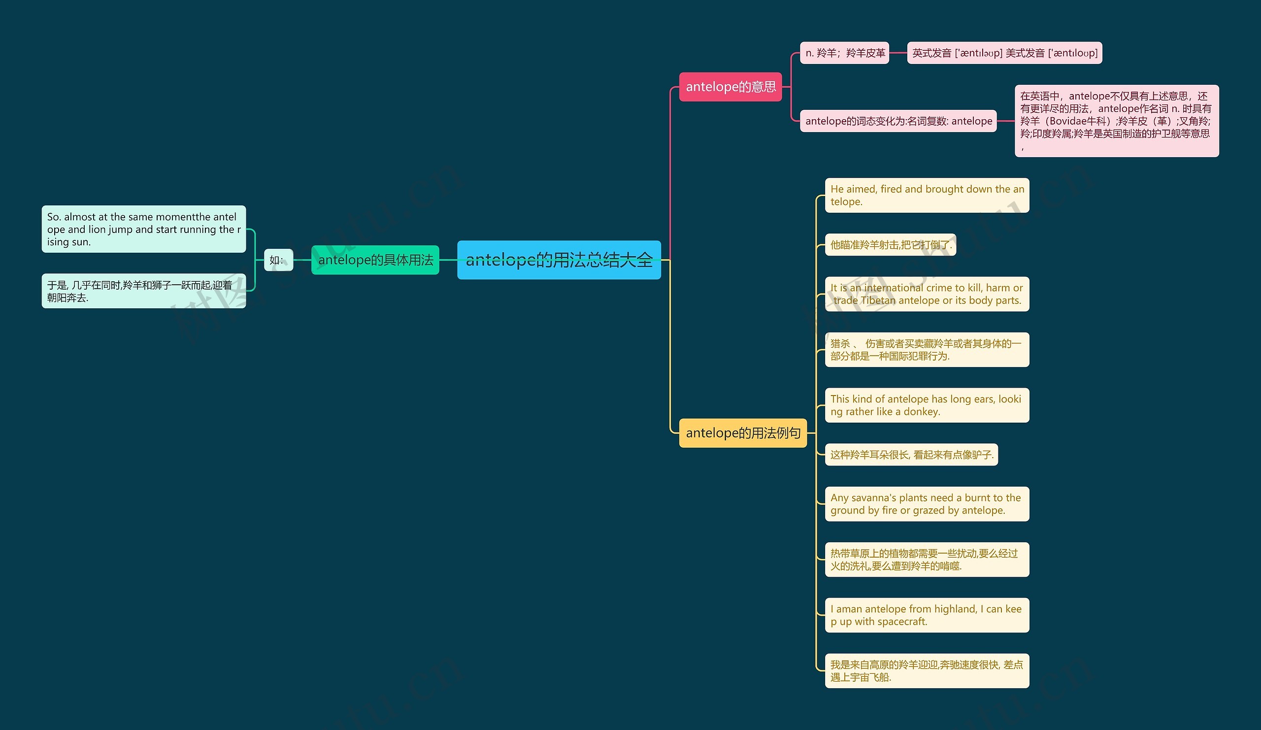 antelope的用法总结大全思维导图