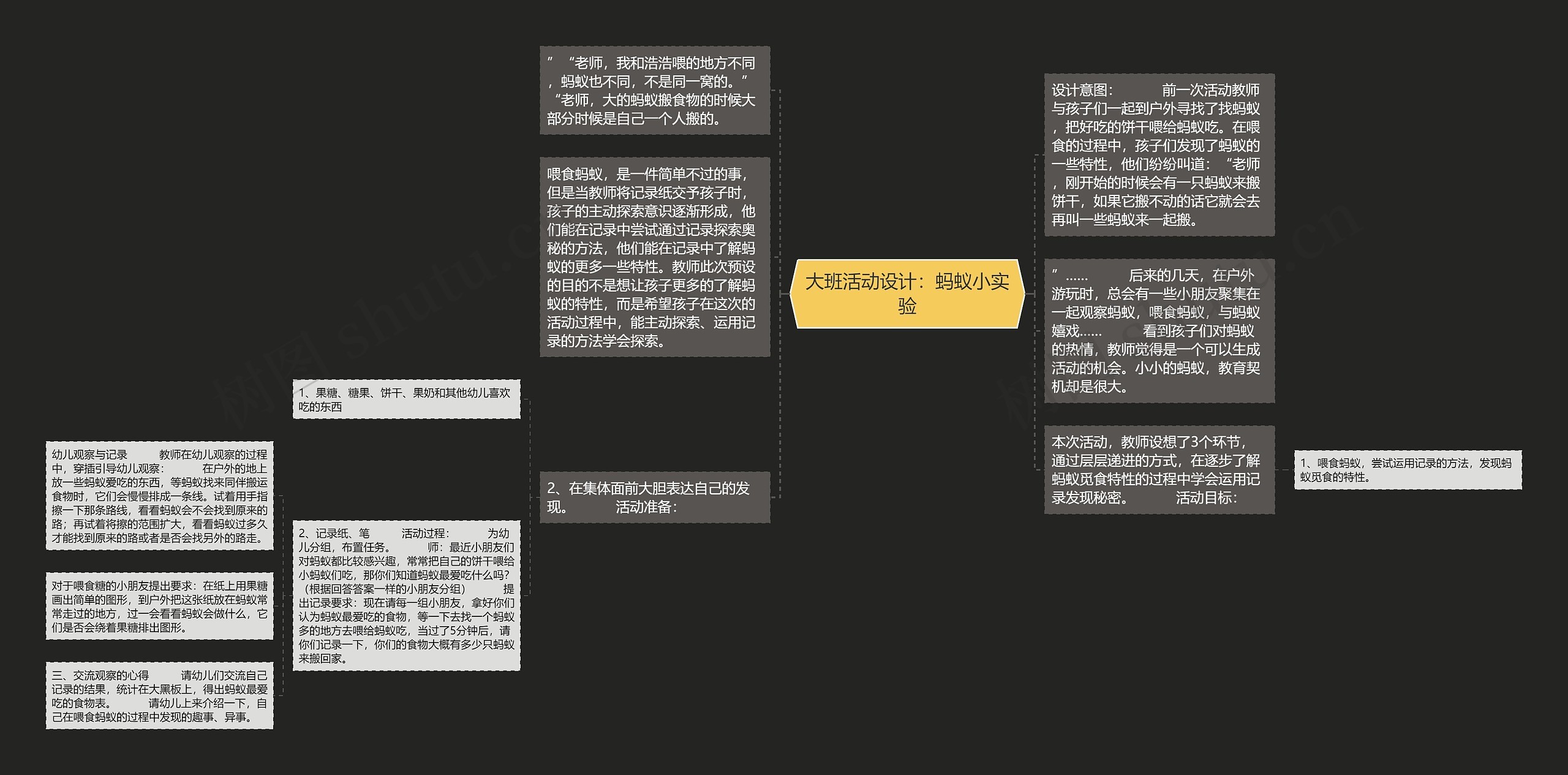 大班活动设计：蚂蚁小实验思维导图