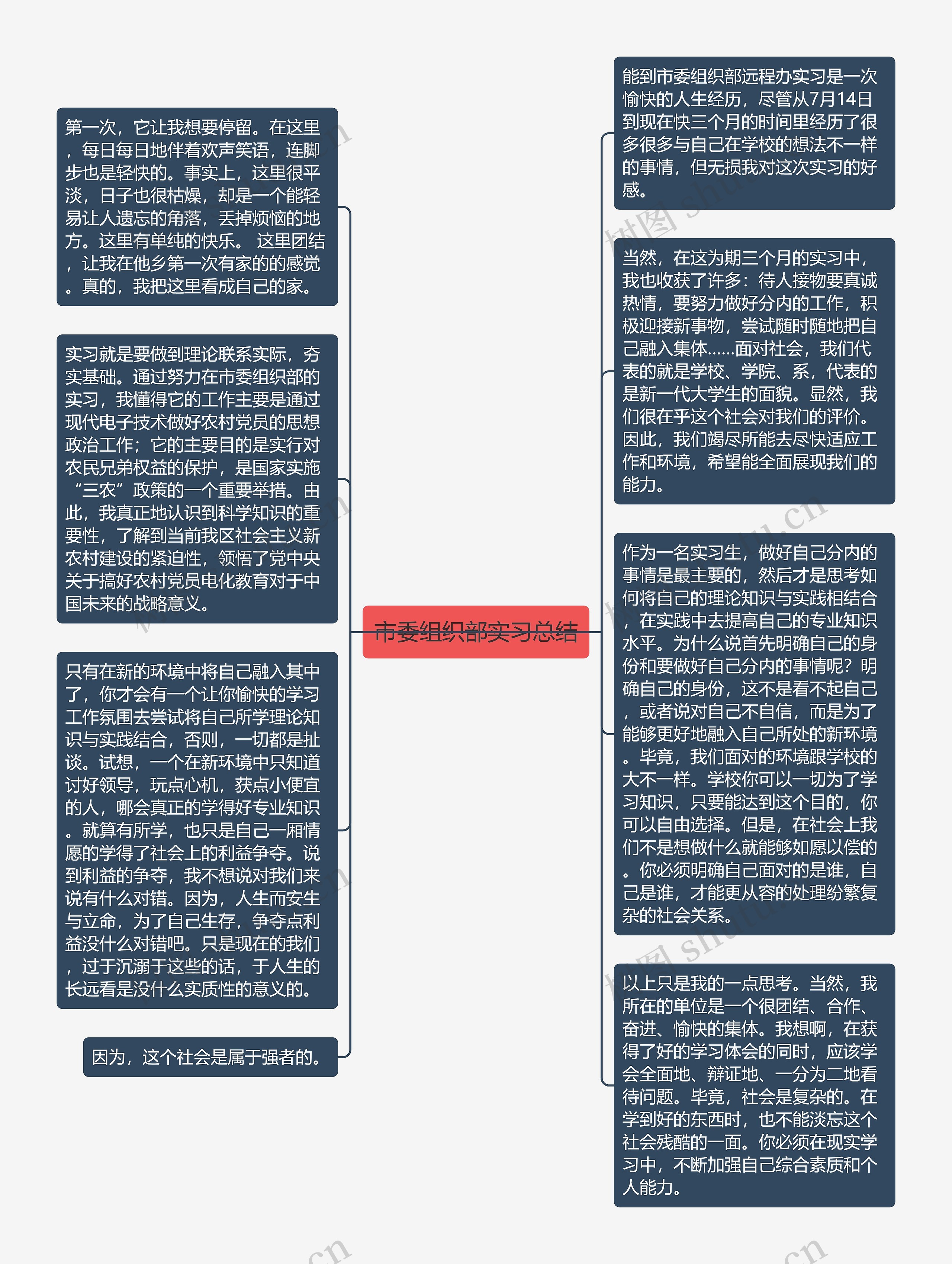 市委组织部实习总结思维导图