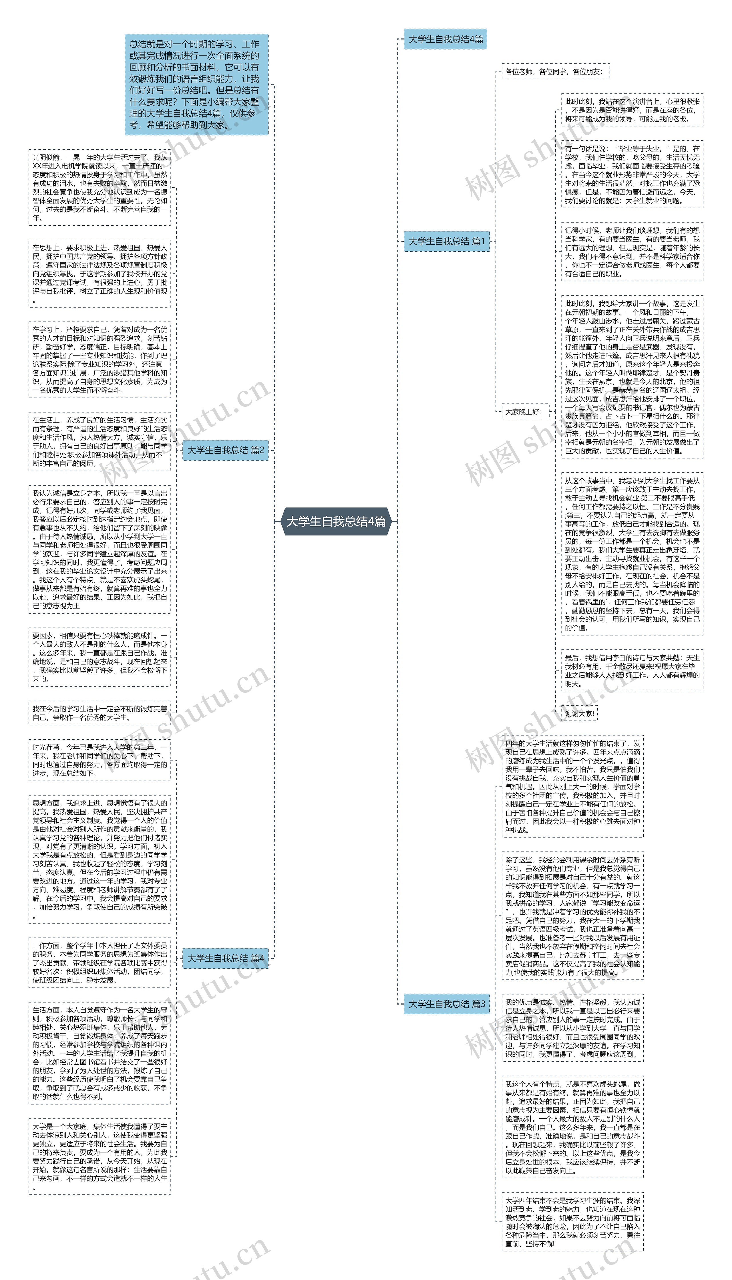 大学生自我总结4篇思维导图