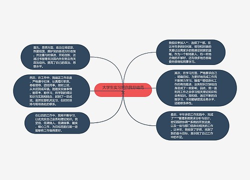 大学生实习期自我总结范文