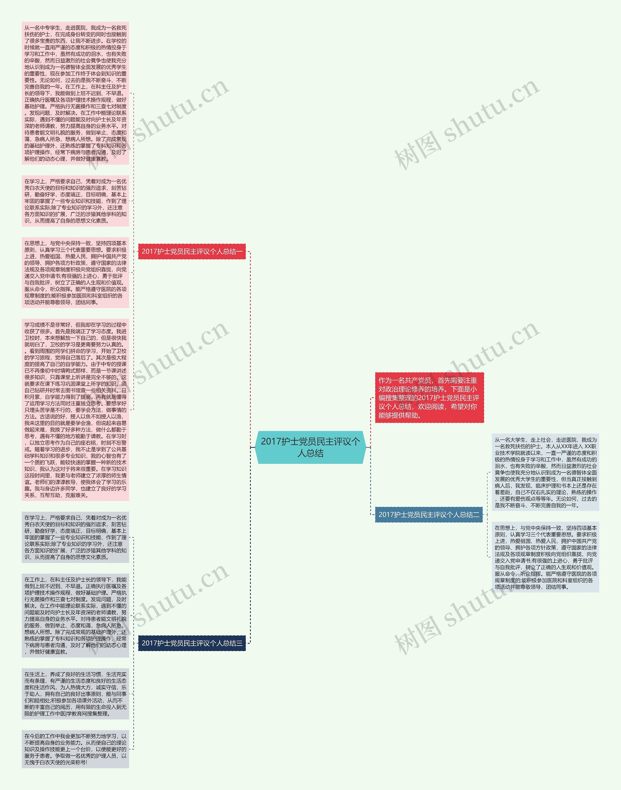 2017护士党员民主评议个人总结思维导图