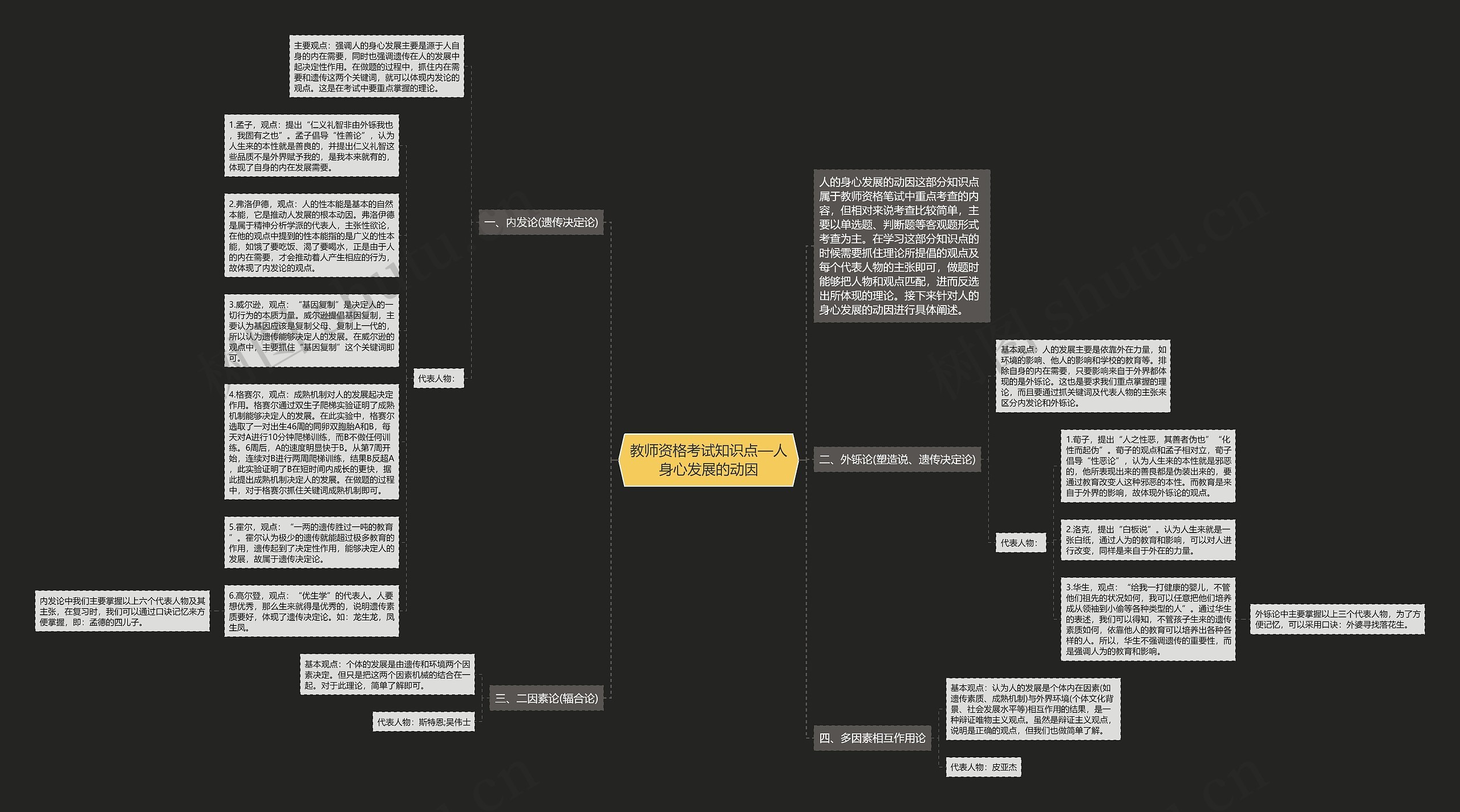教师资格考试知识点—人身心发展的动因思维导图