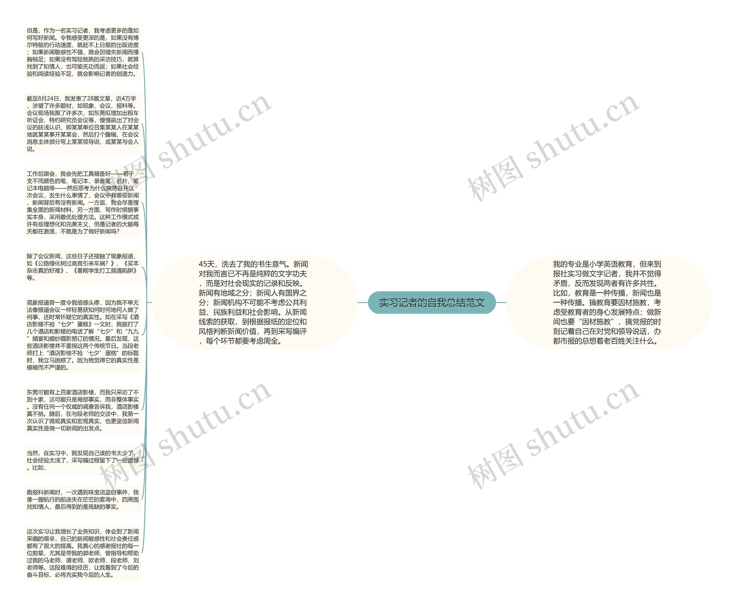 实习记者的自我总结范文