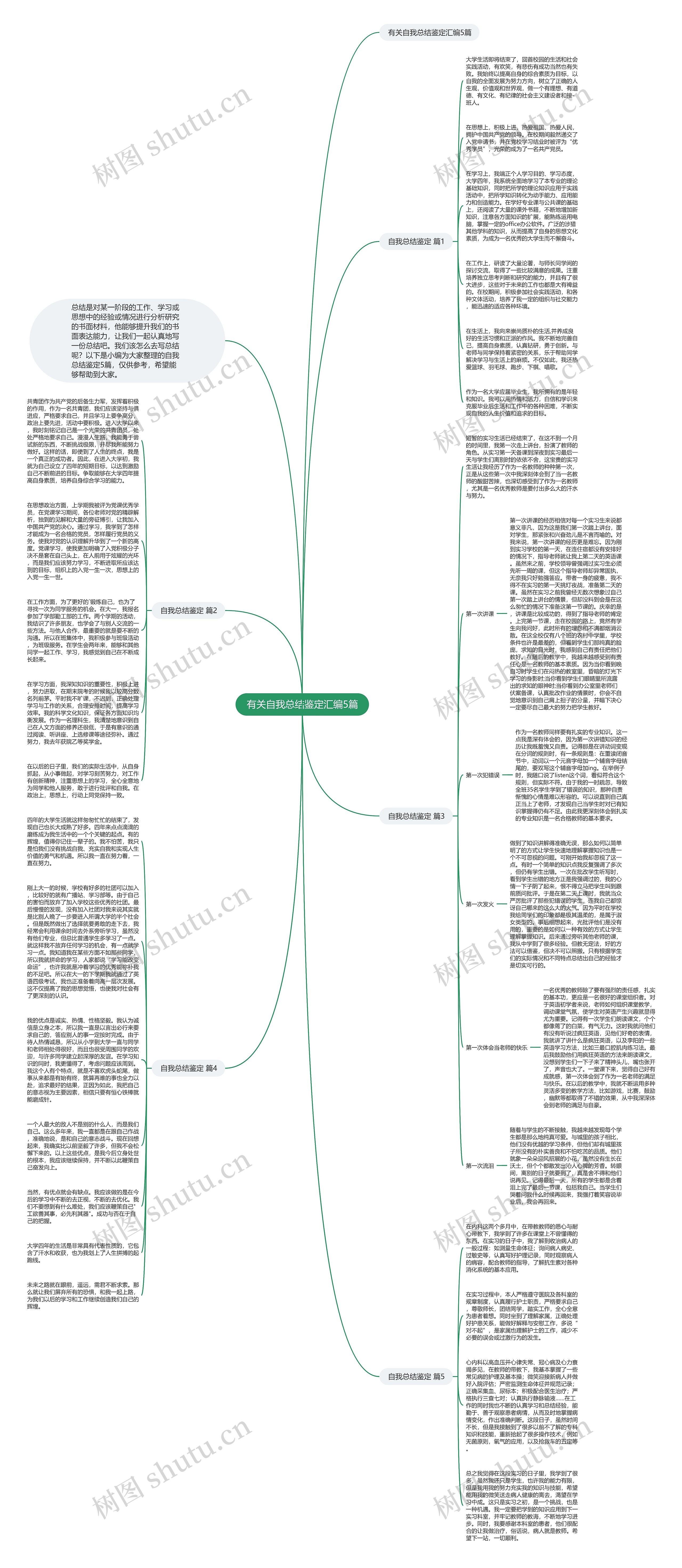 有关自我总结鉴定汇编5篇思维导图