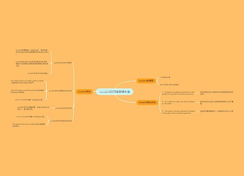socialist的用法总结大全