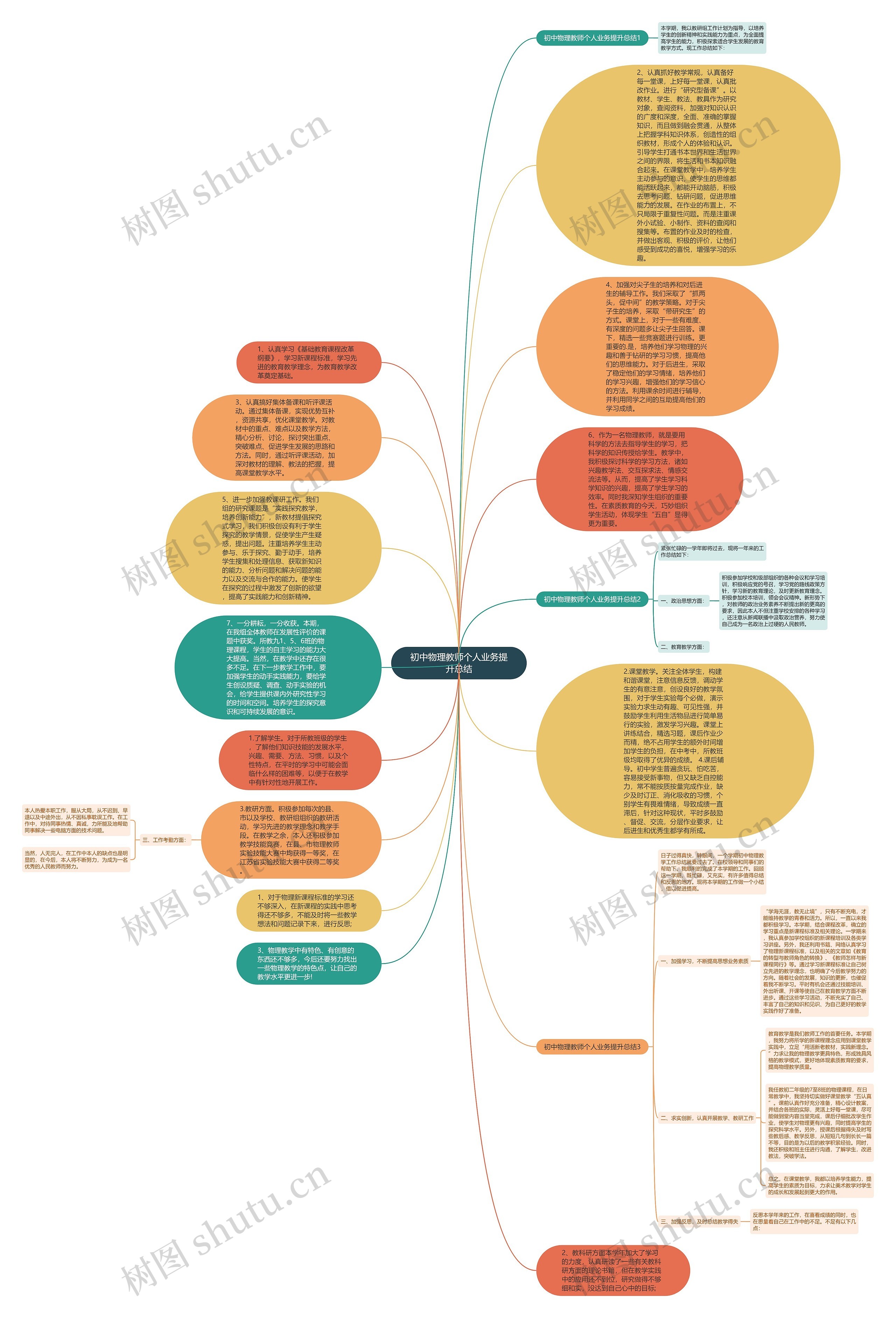 初中物理教师个人业务提升总结思维导图