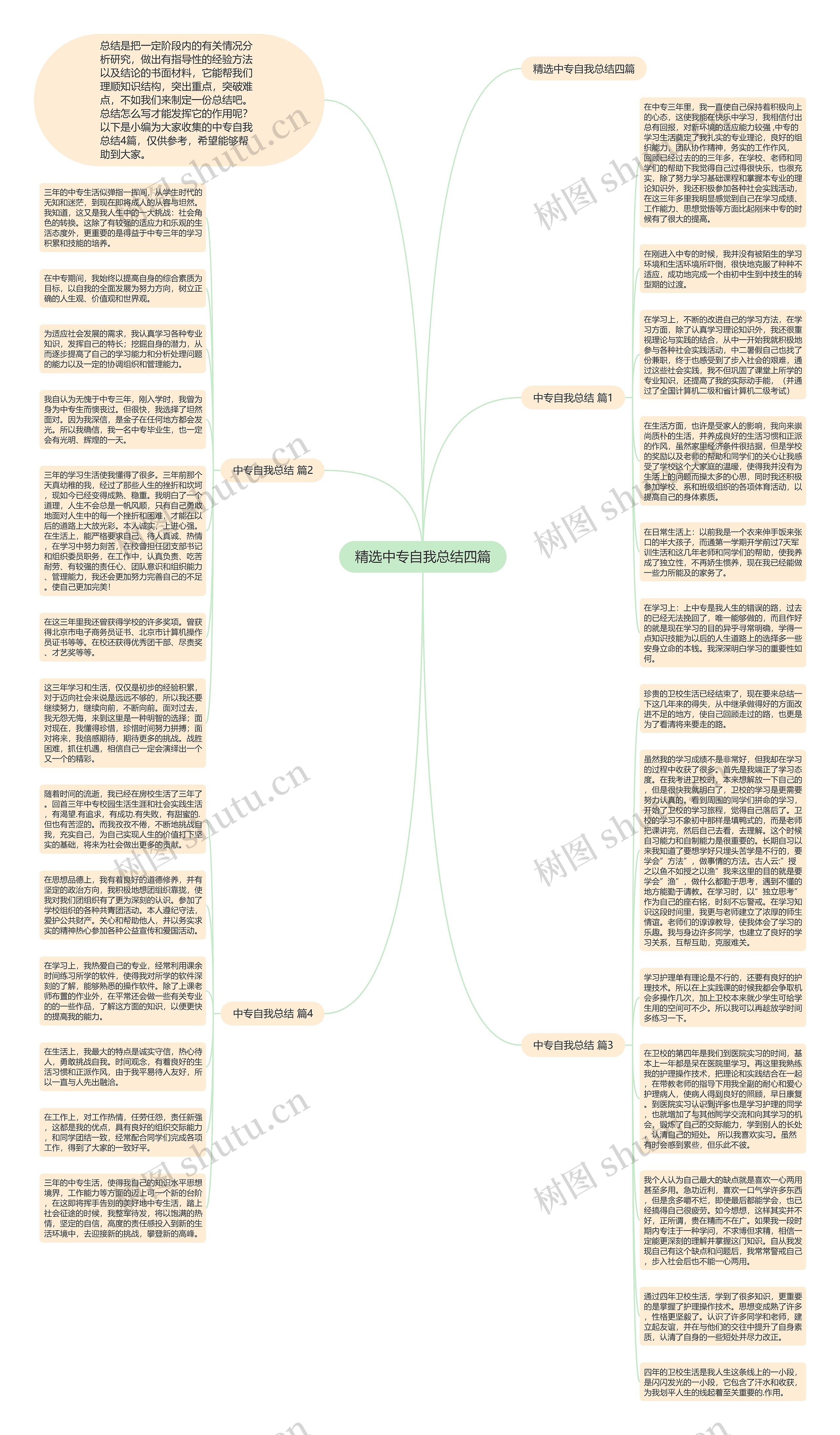 精选中专自我总结四篇思维导图