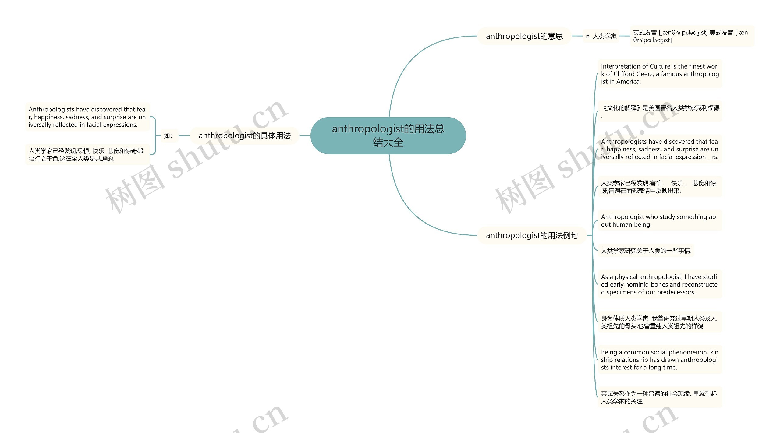 anthropologist的用法总结大全思维导图