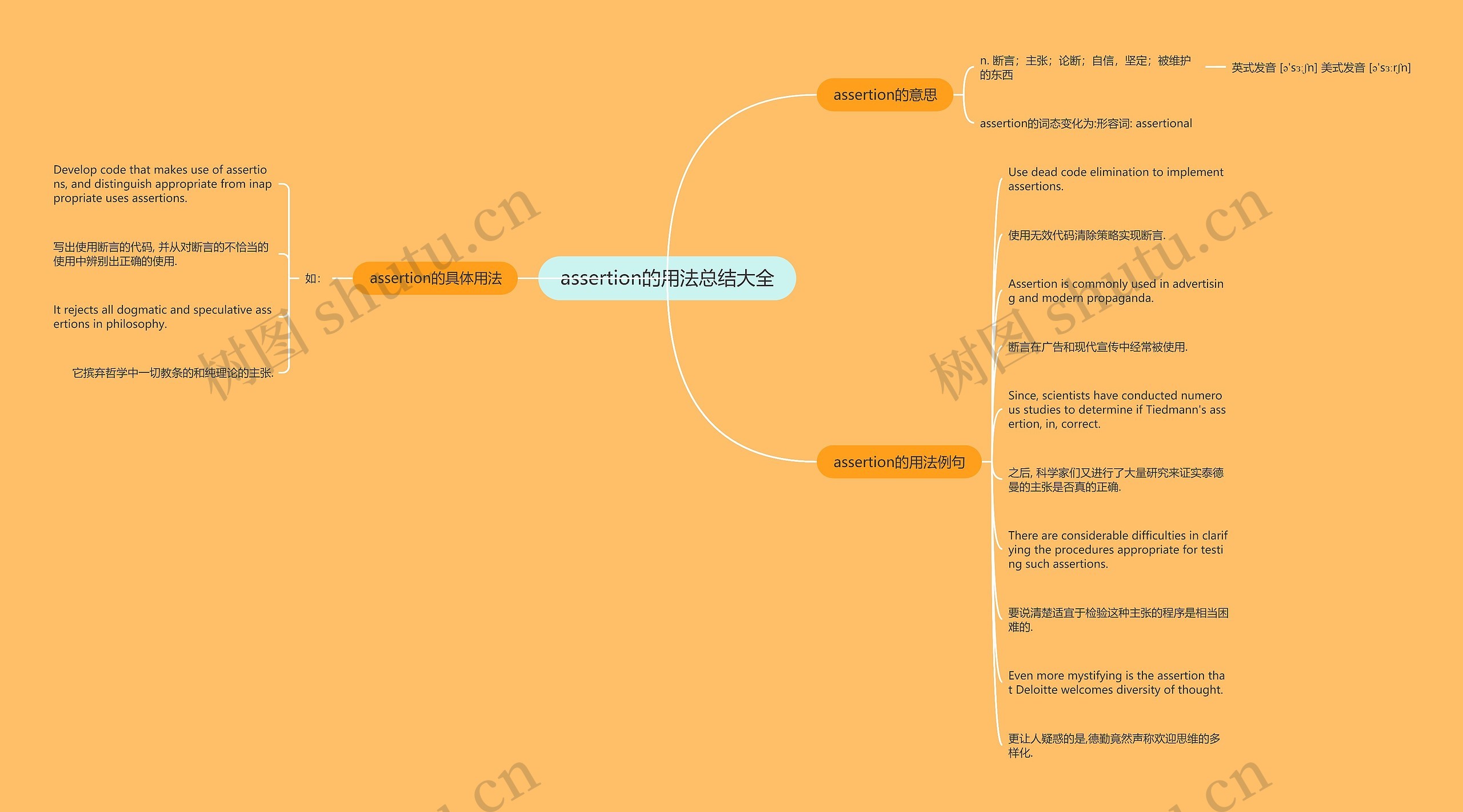 assertion的用法总结大全思维导图