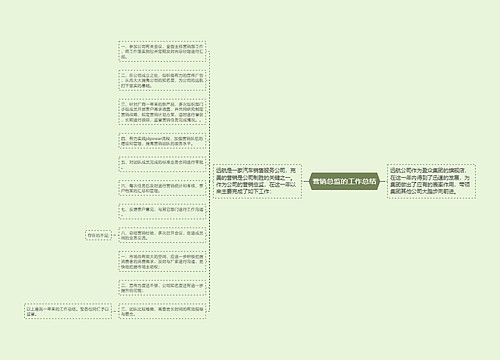 营销总监的工作总结