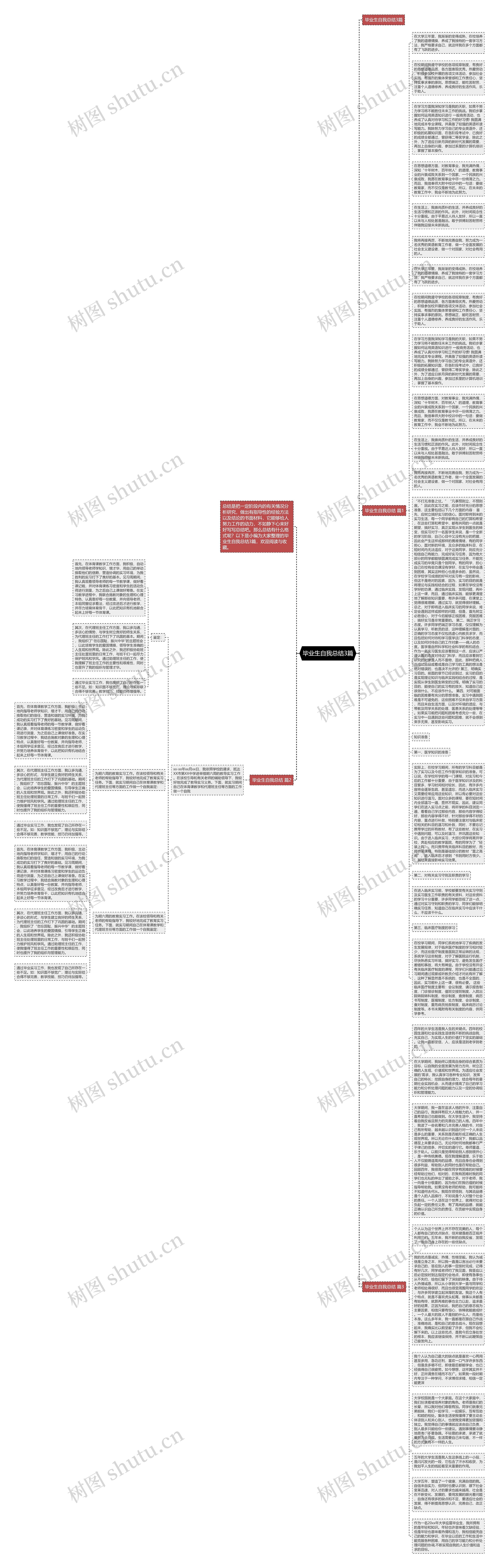 毕业生自我总结3篇思维导图