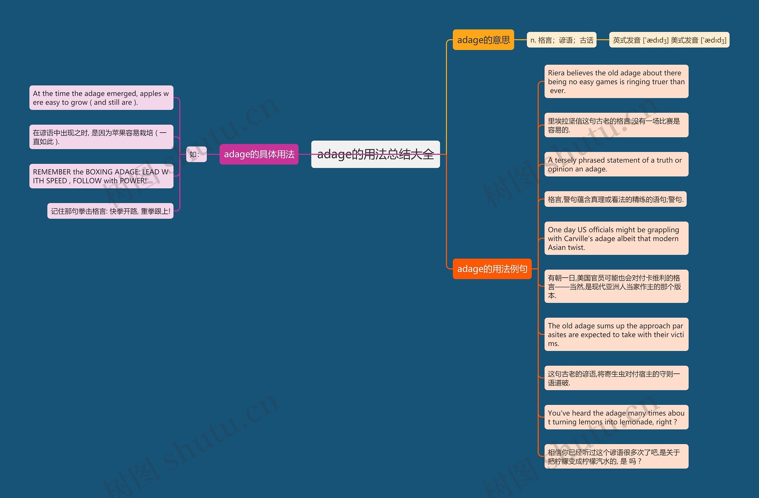 adage的用法总结大全思维导图