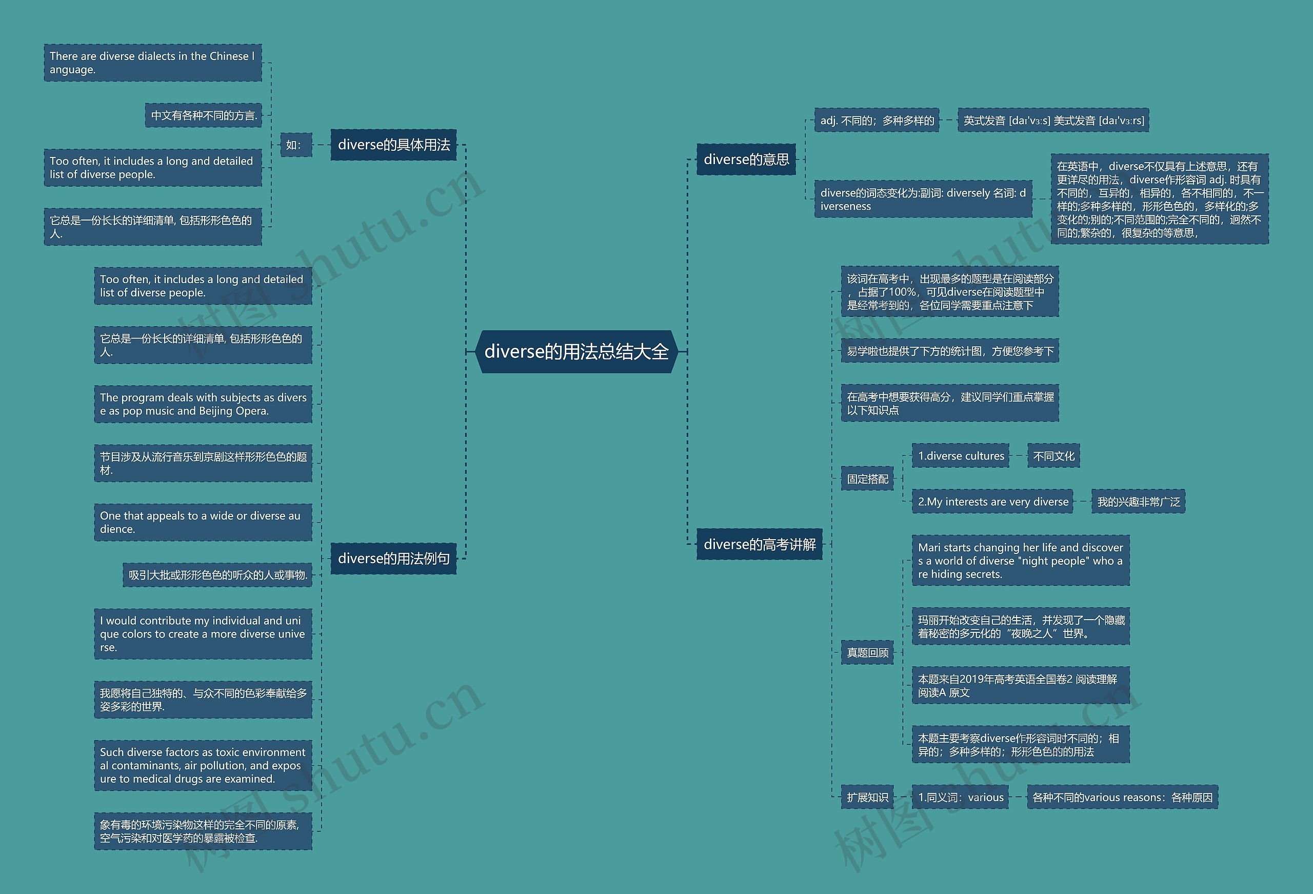 diverse的用法总结大全思维导图