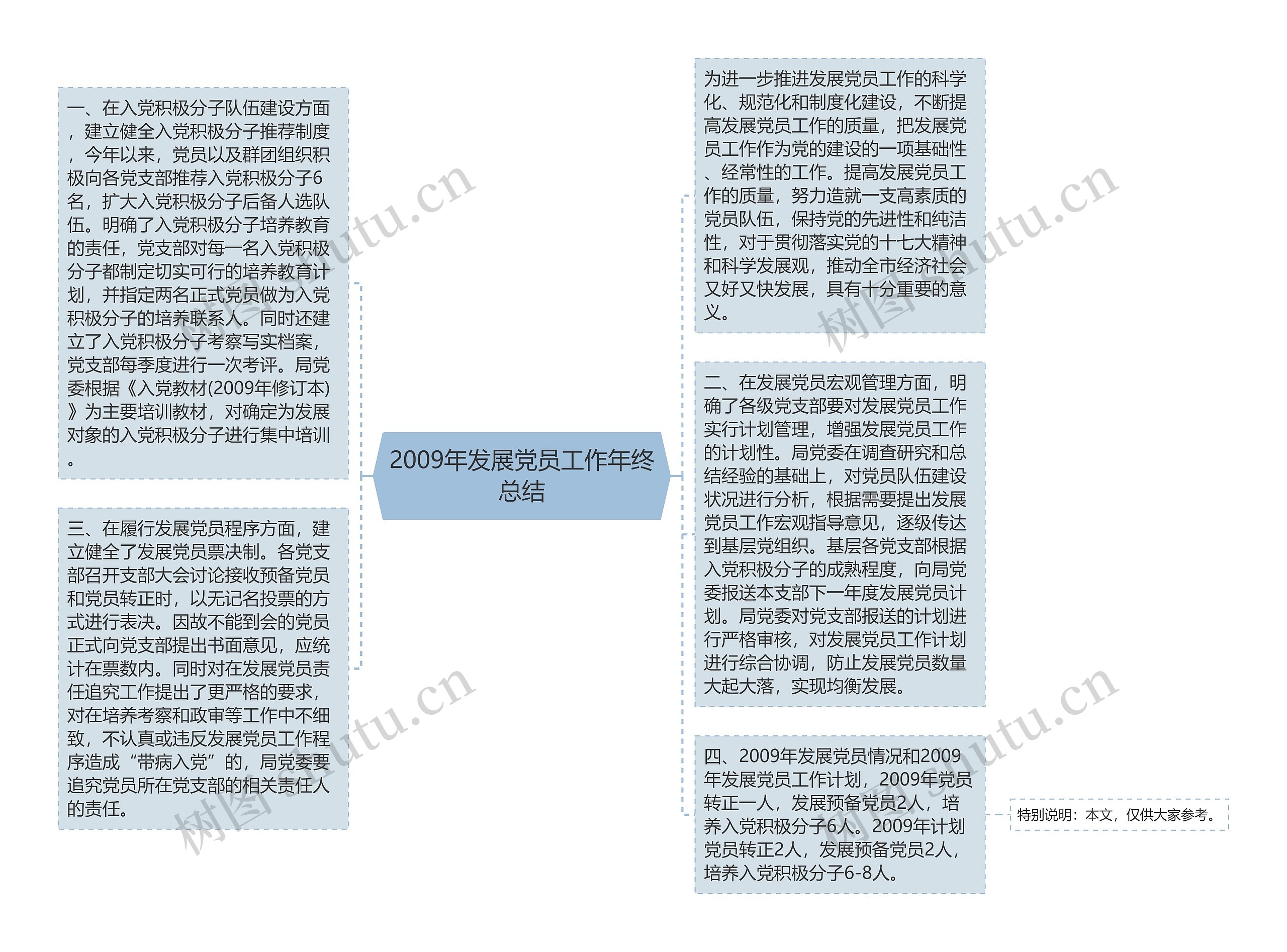 2009年发展党员工作年终总结思维导图