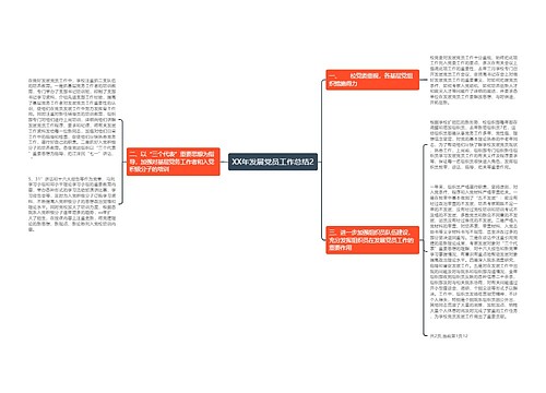 XX年发展党员工作总结2