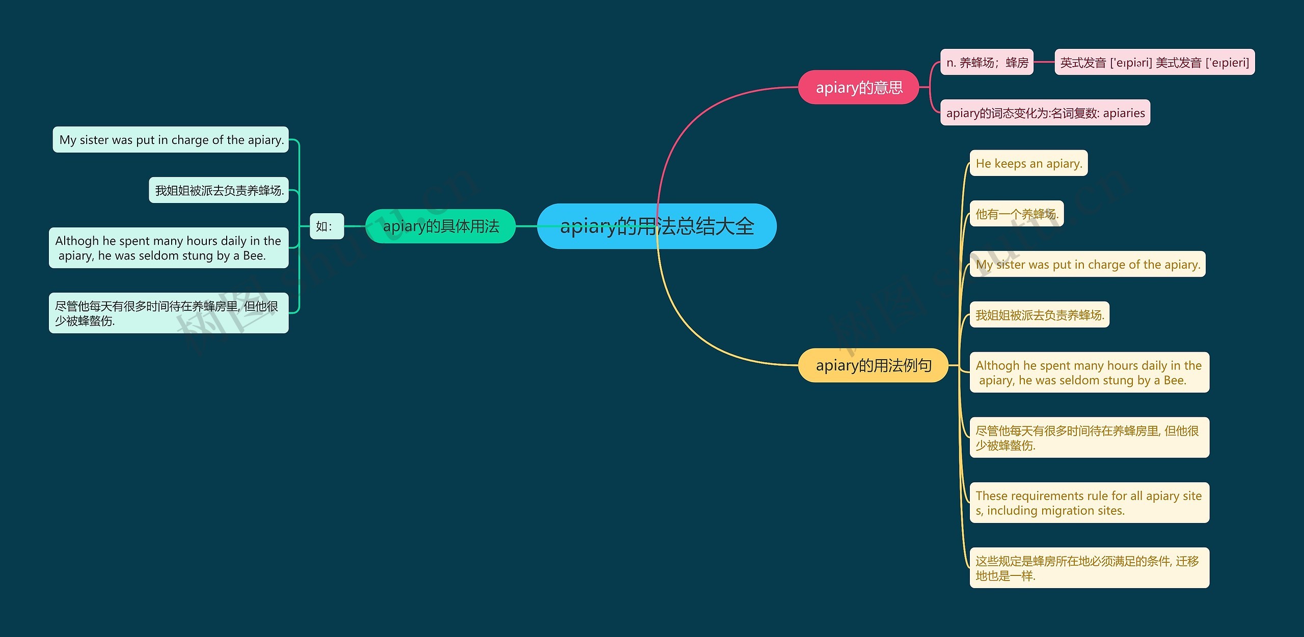 apiary的用法总结大全思维导图