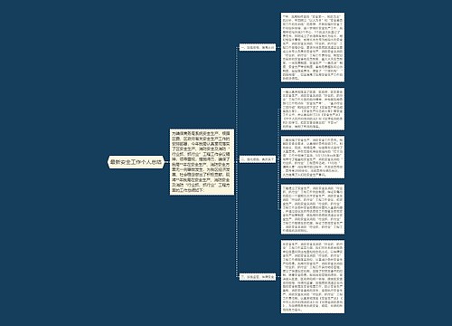 最新安全工作个人总结