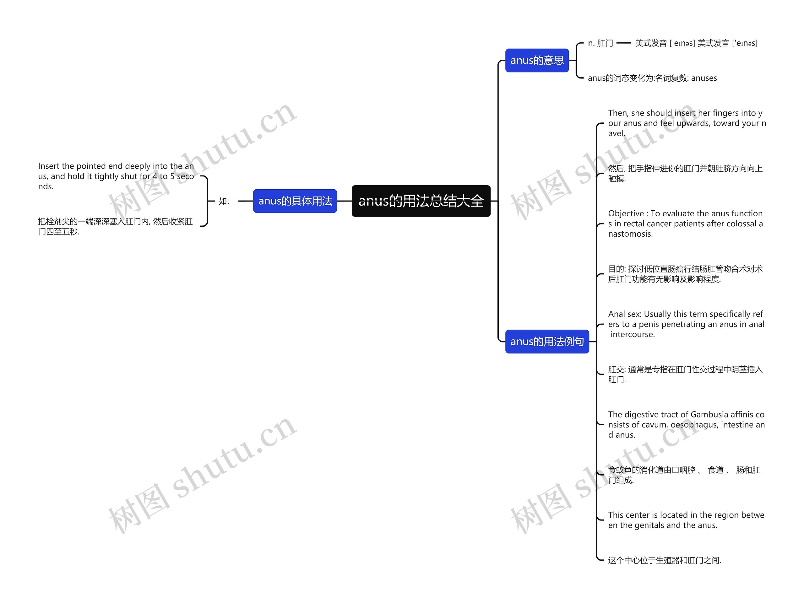 anus的用法总结大全思维导图