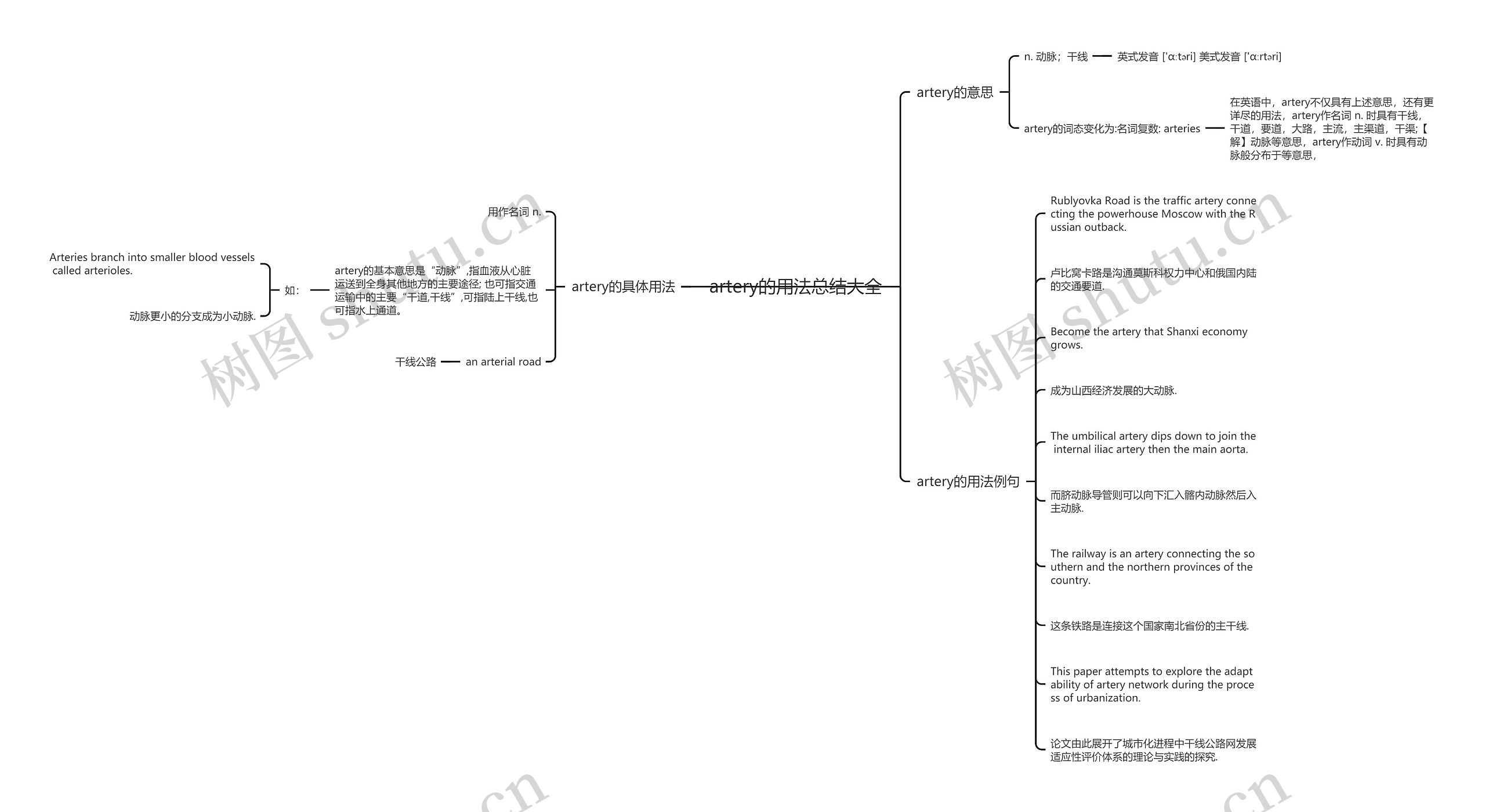 artery的用法总结大全思维导图