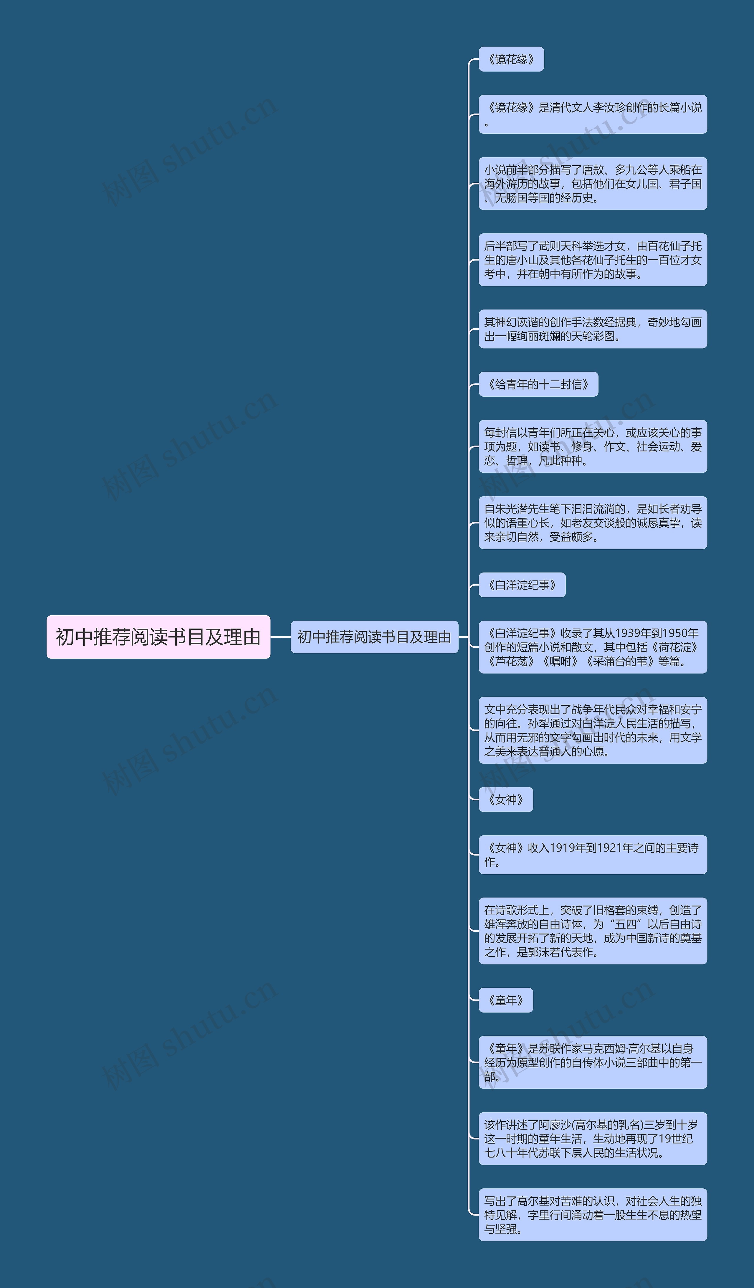 初中推荐阅读书目及理由思维导图