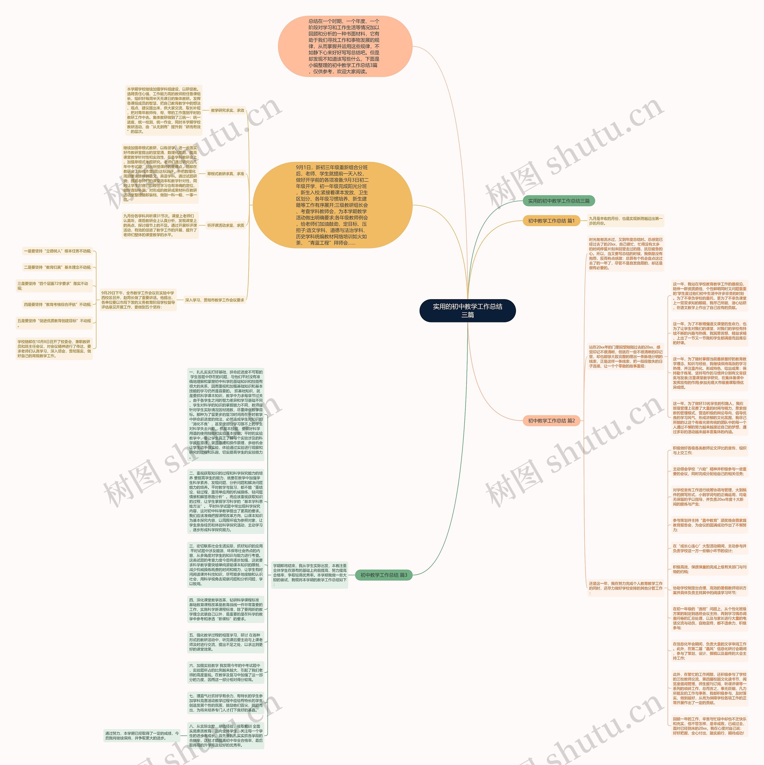实用的初中教学工作总结三篇思维导图