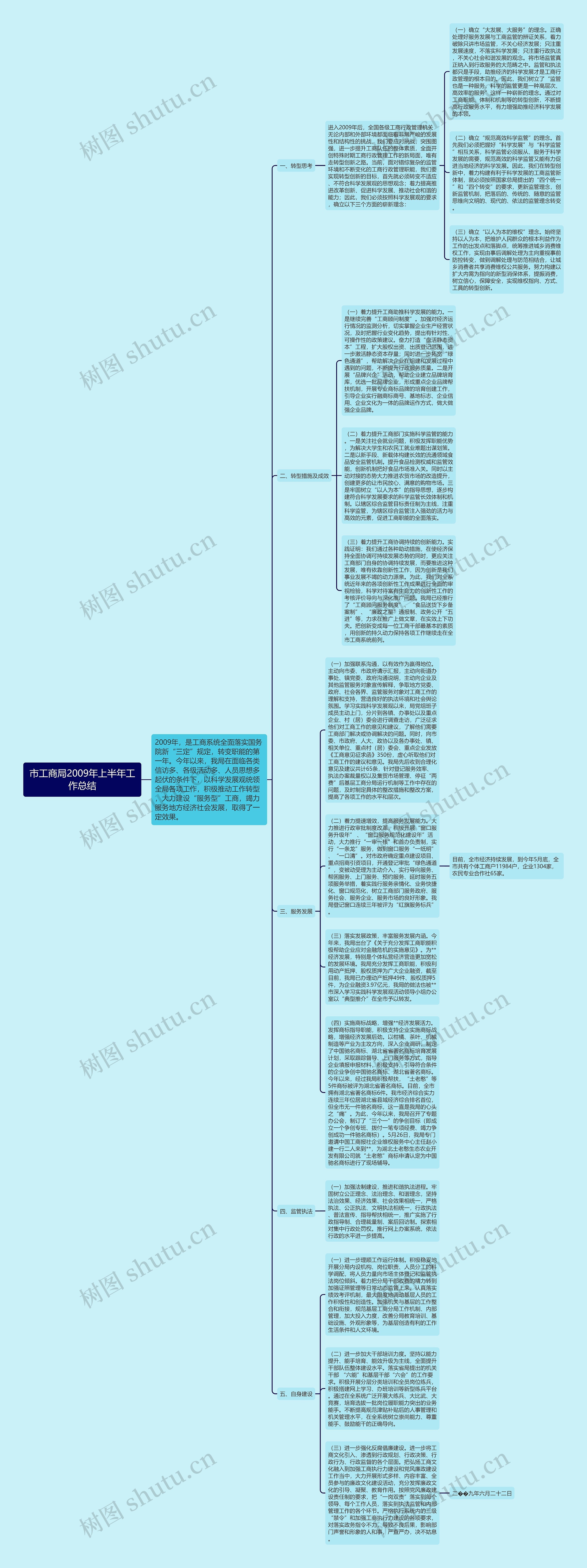 市工商局2009年上半年工作总结思维导图