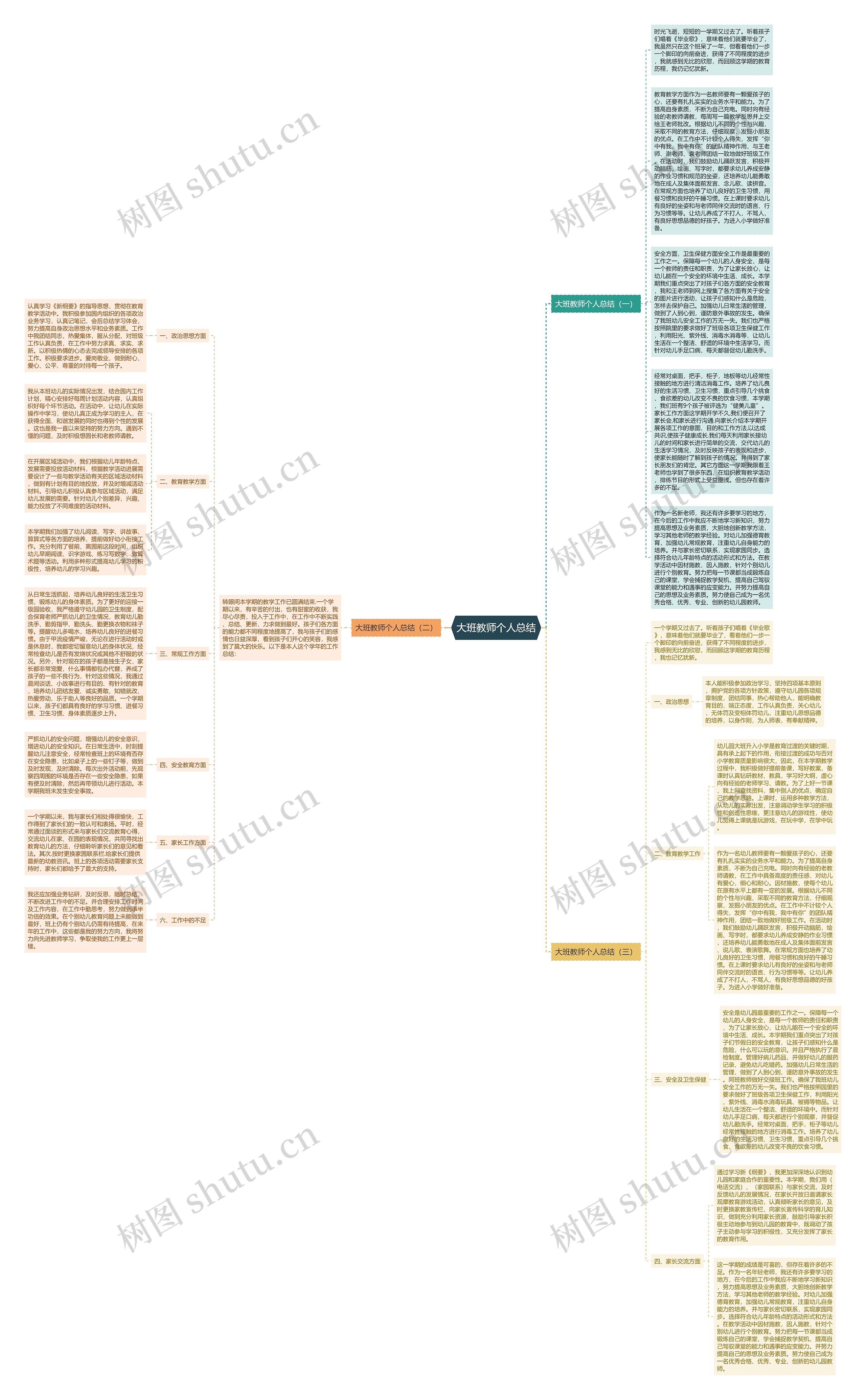 大班教师个人总结思维导图