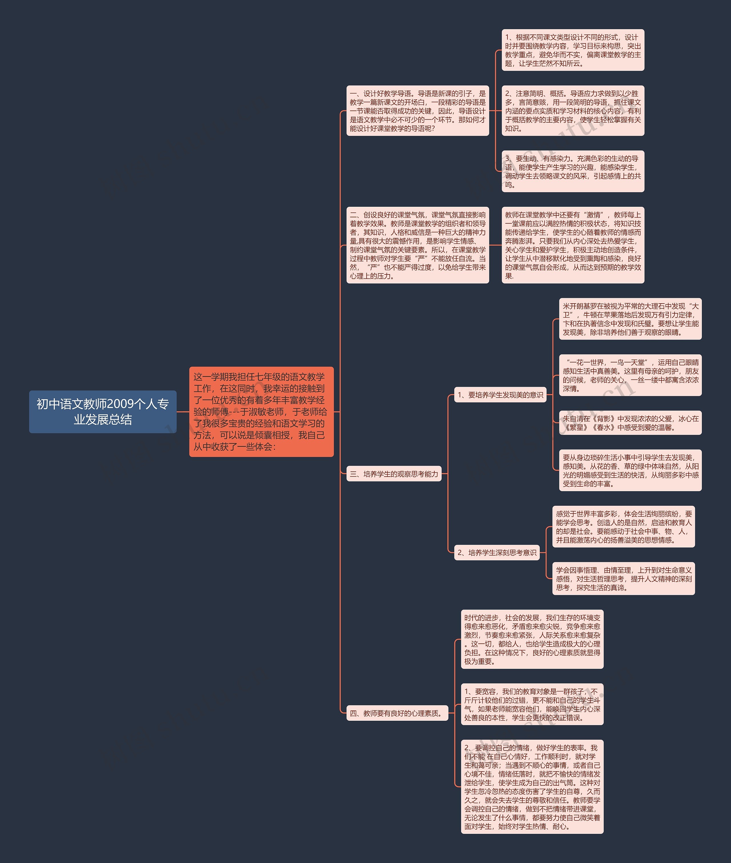 初中语文教师2009个人专业发展总结思维导图