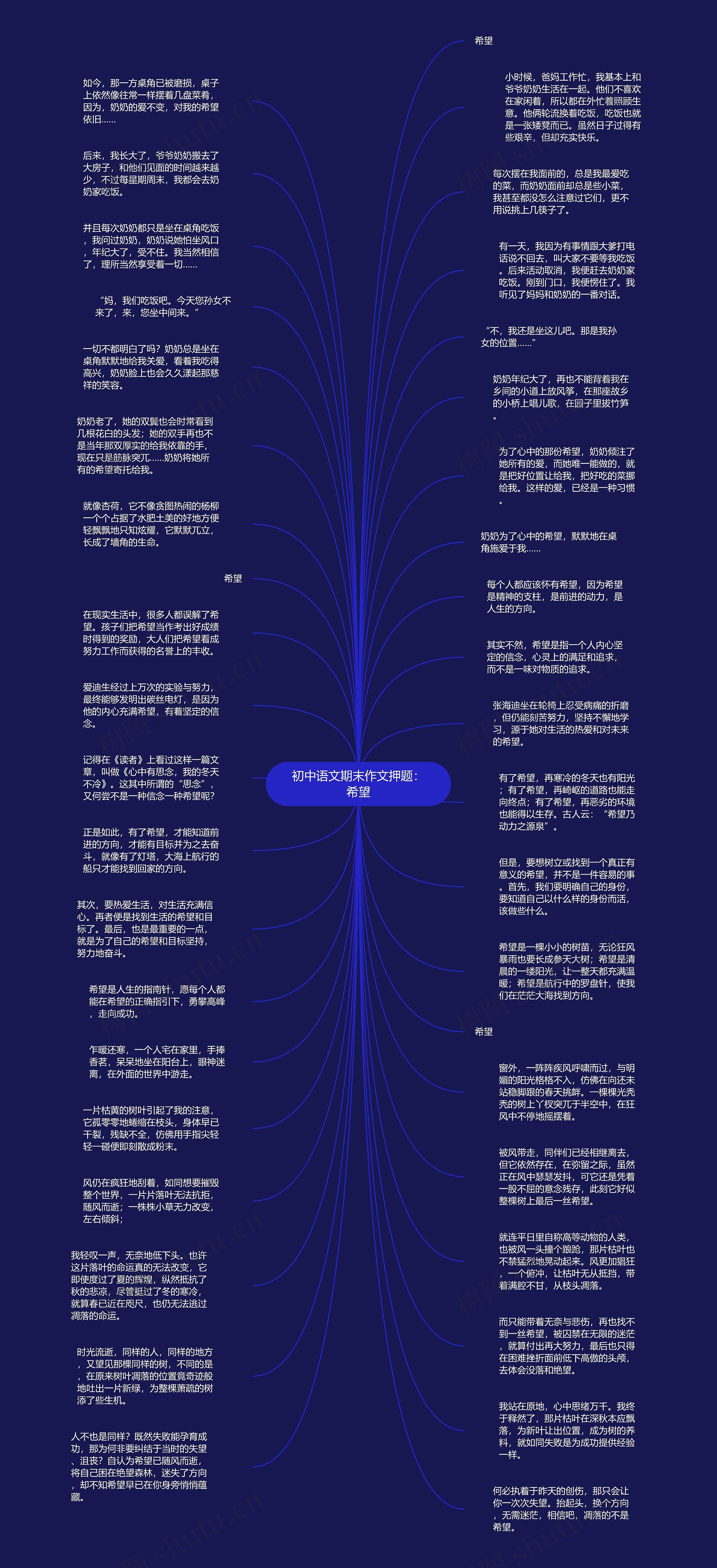 初中语文期末作文押题：希望思维导图