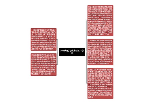 2008年见习班主任工作总结