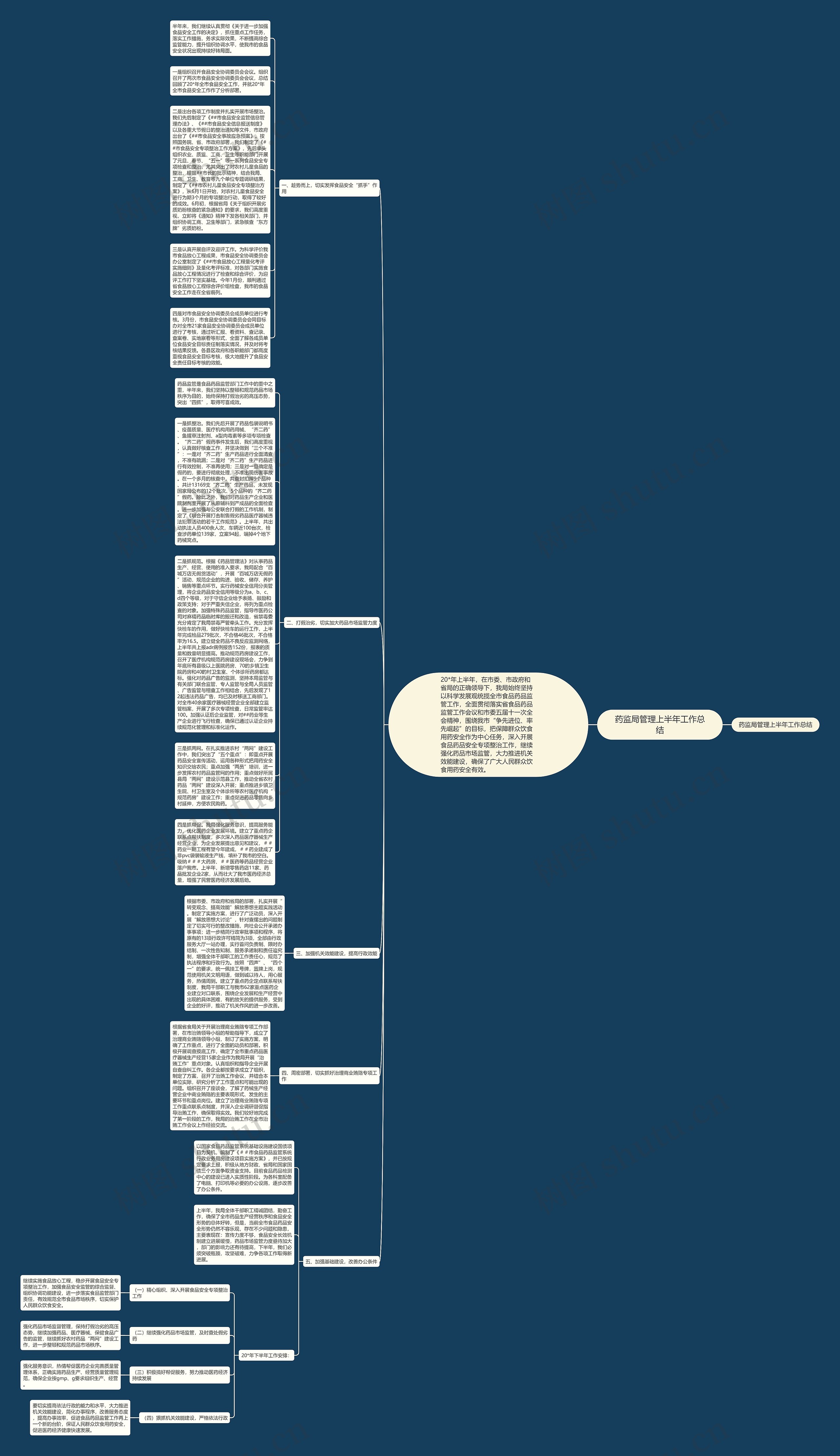 药监局管理上半年工作总结思维导图