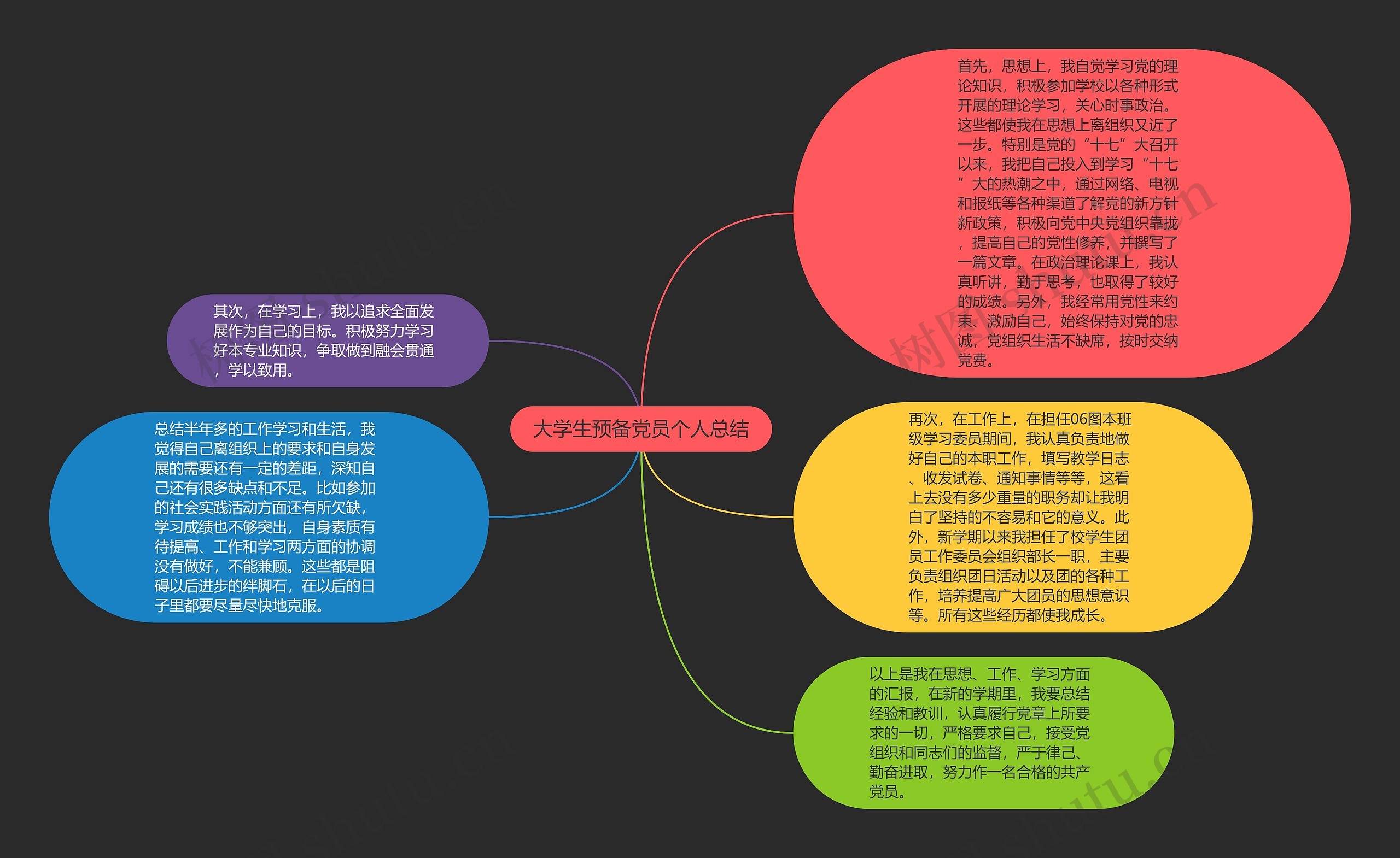 大学生预备党员个人总结思维导图