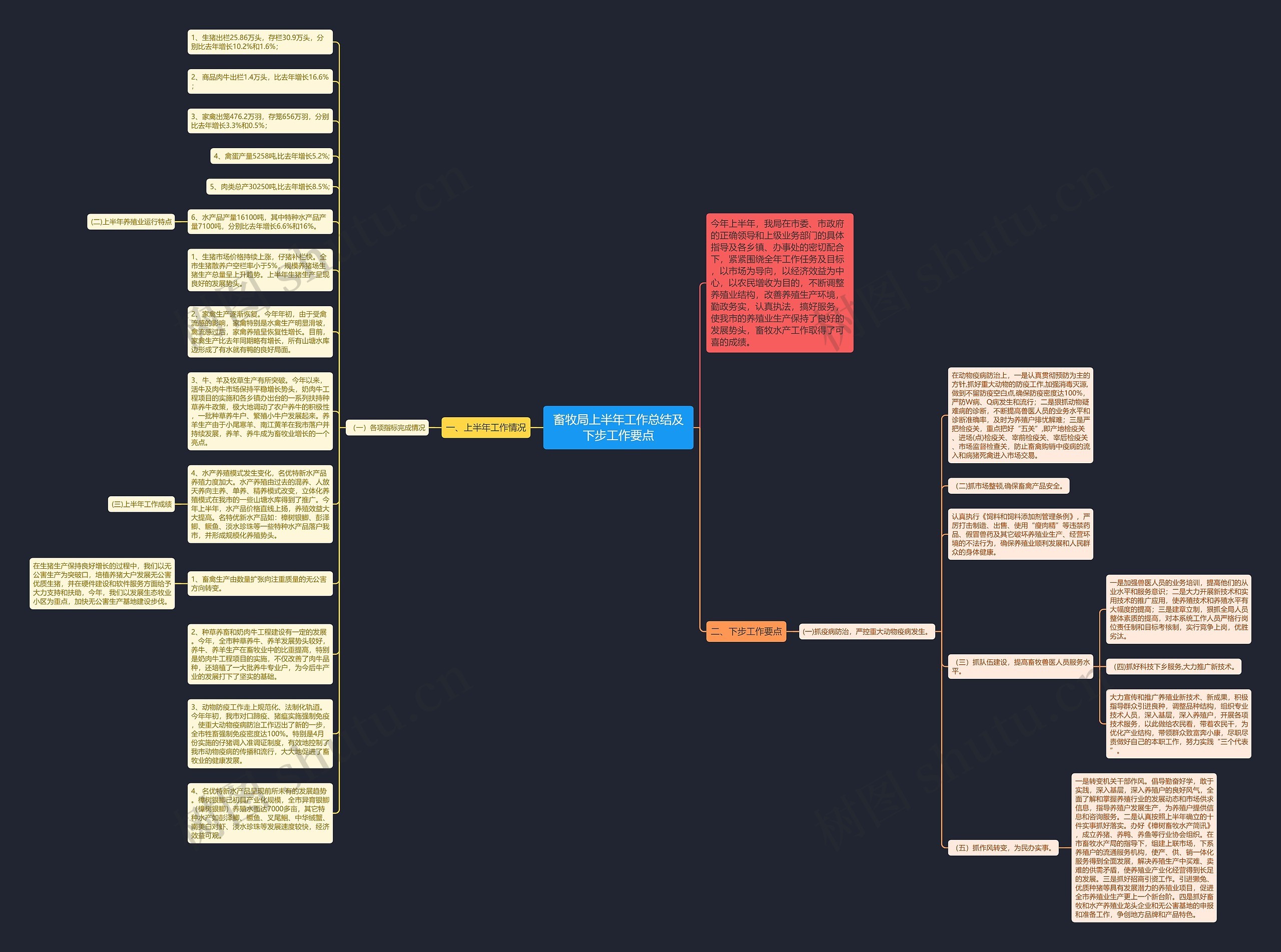 畜牧局上半年工作总结及下步工作要点思维导图