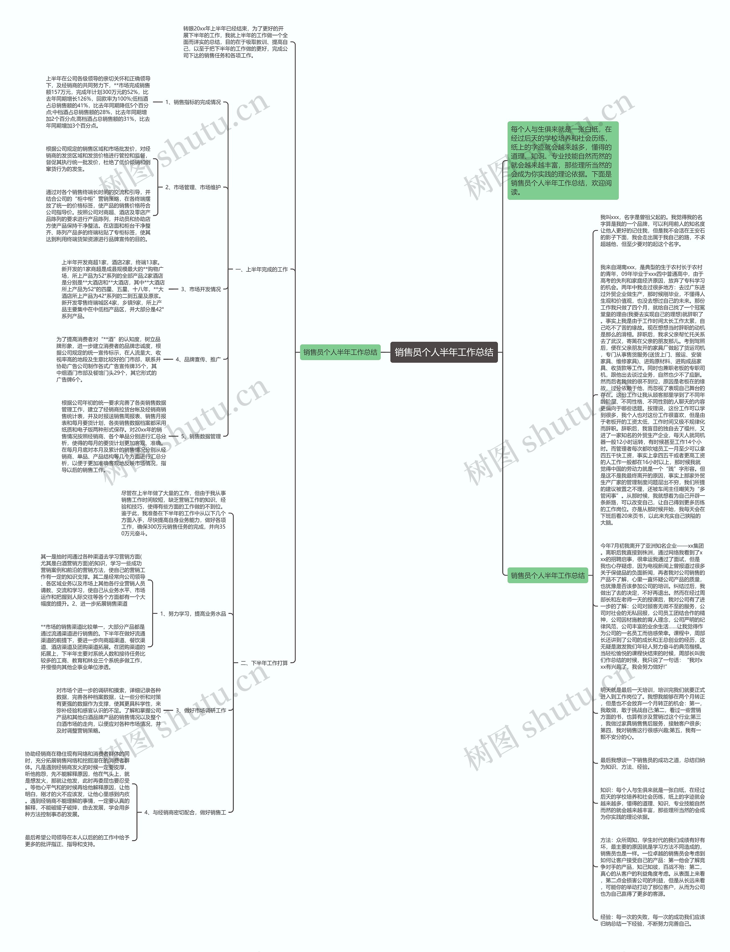 销售员个人半年工作总结思维导图