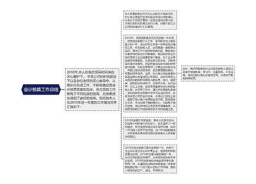 会计核算工作总结