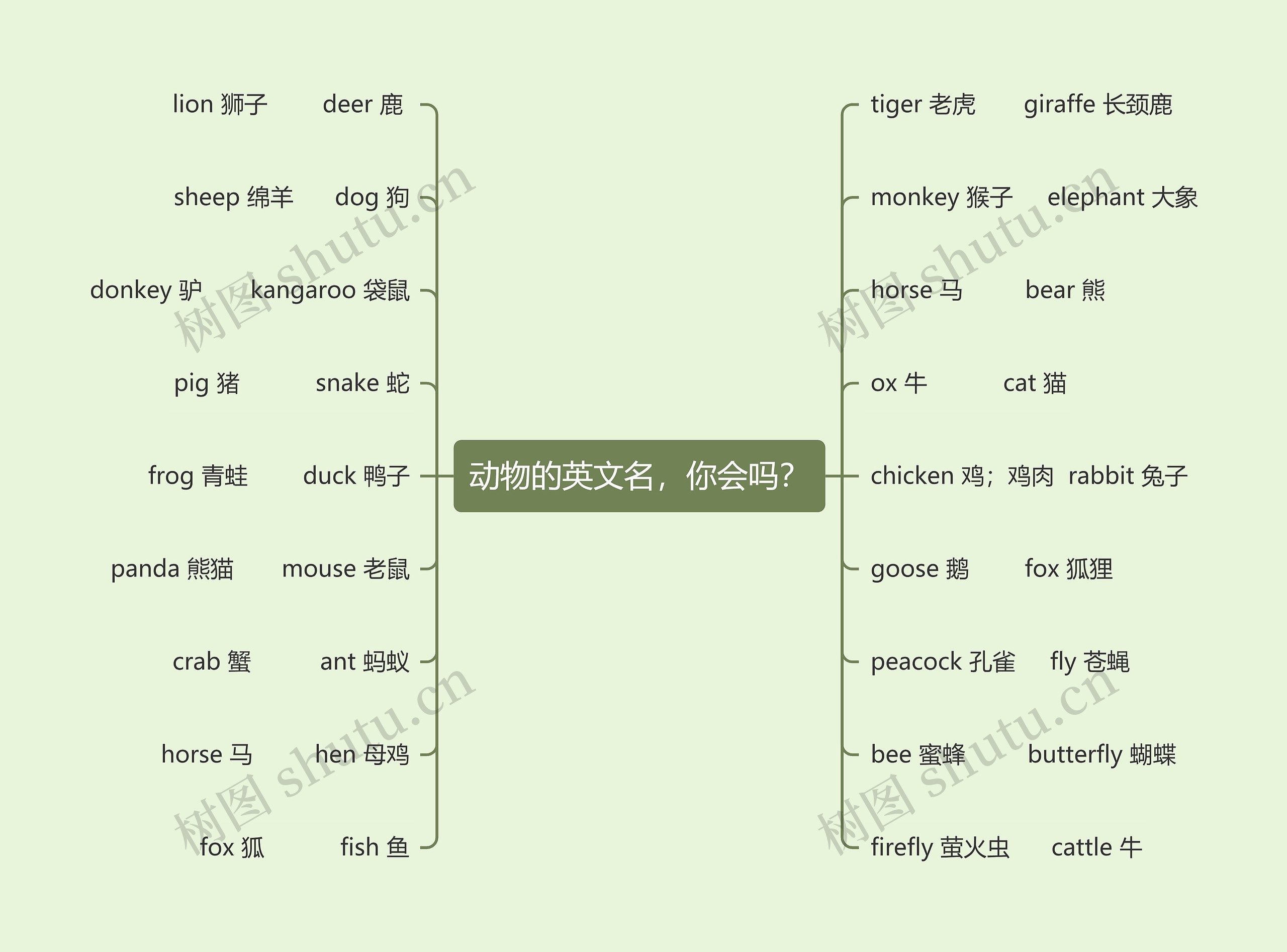 动物的英文名，你会吗？