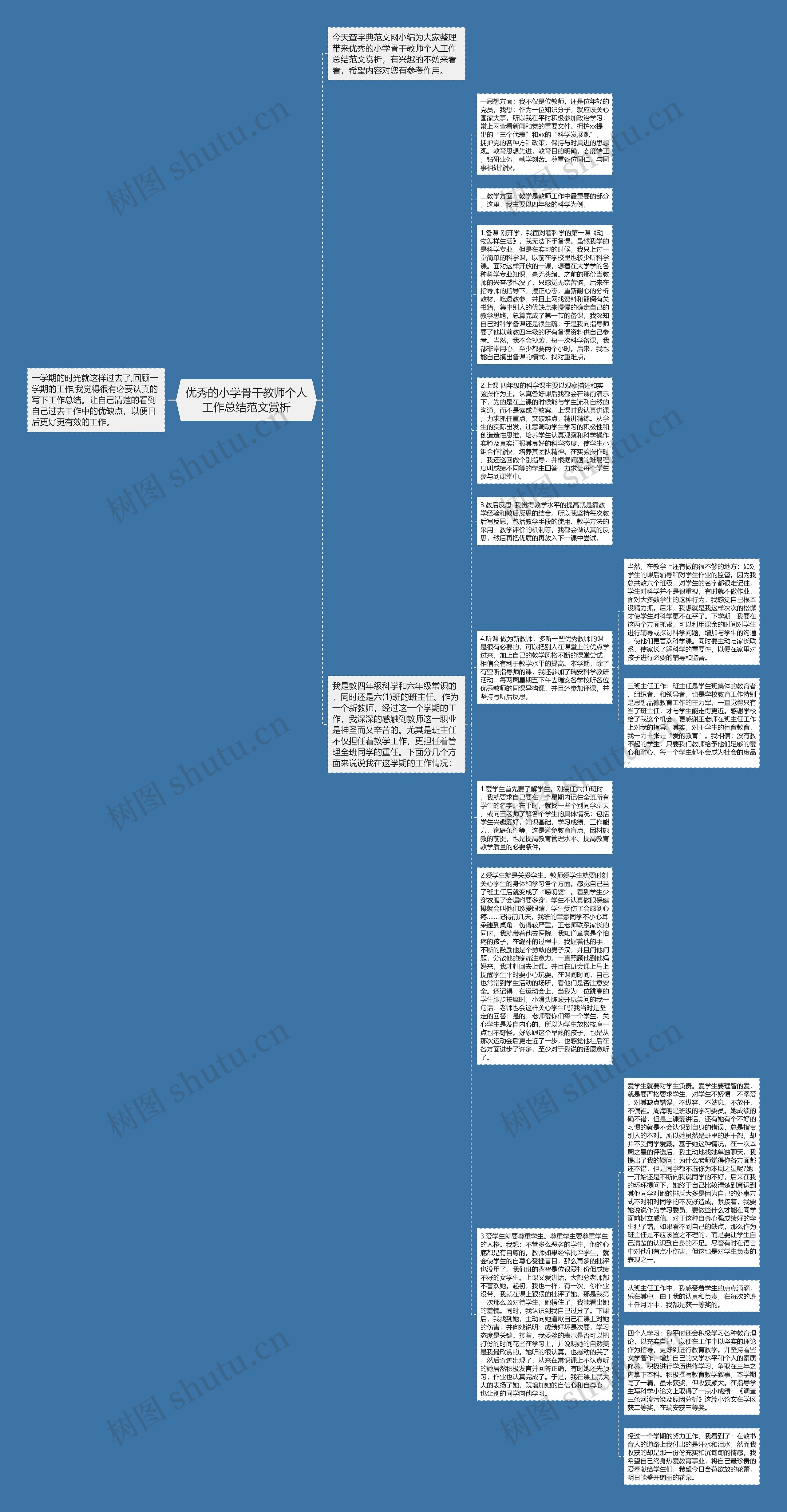 优秀的小学骨干教师个人工作总结范文赏析思维导图
