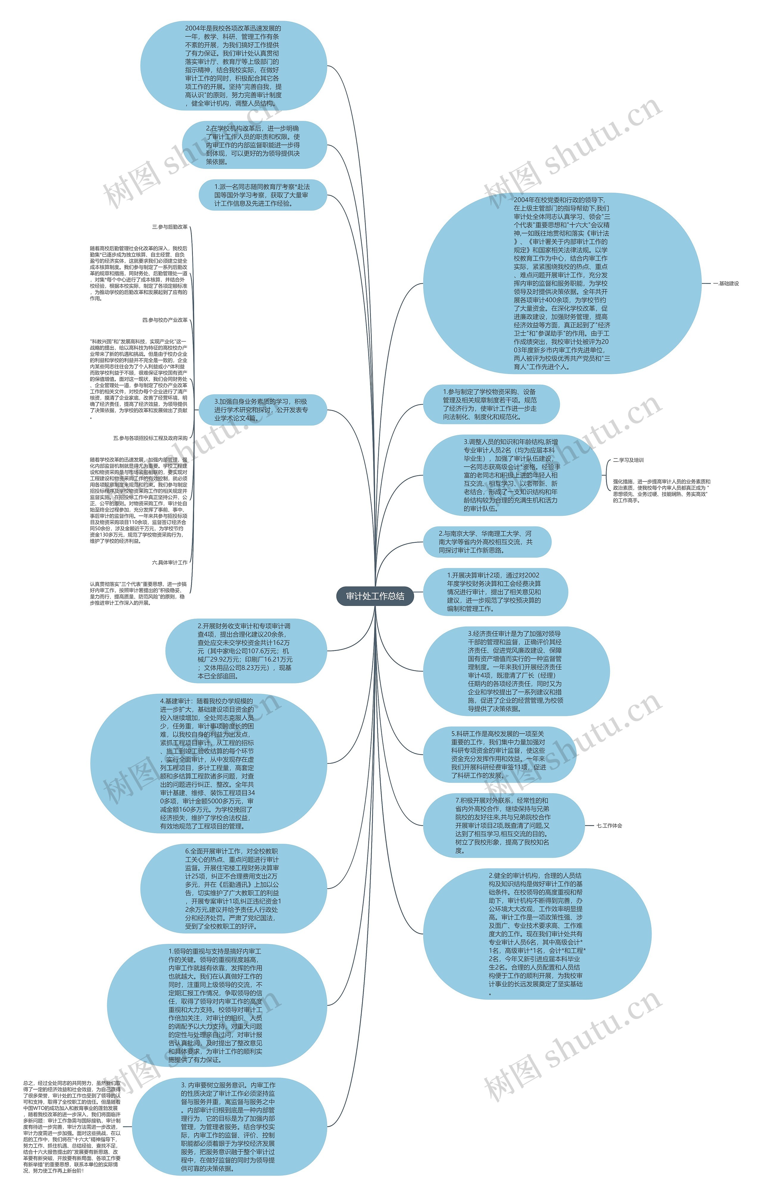 审计处工作总结思维导图